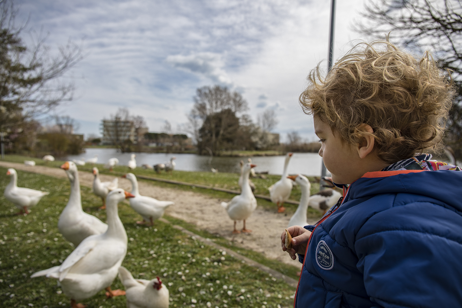 meetings at the park