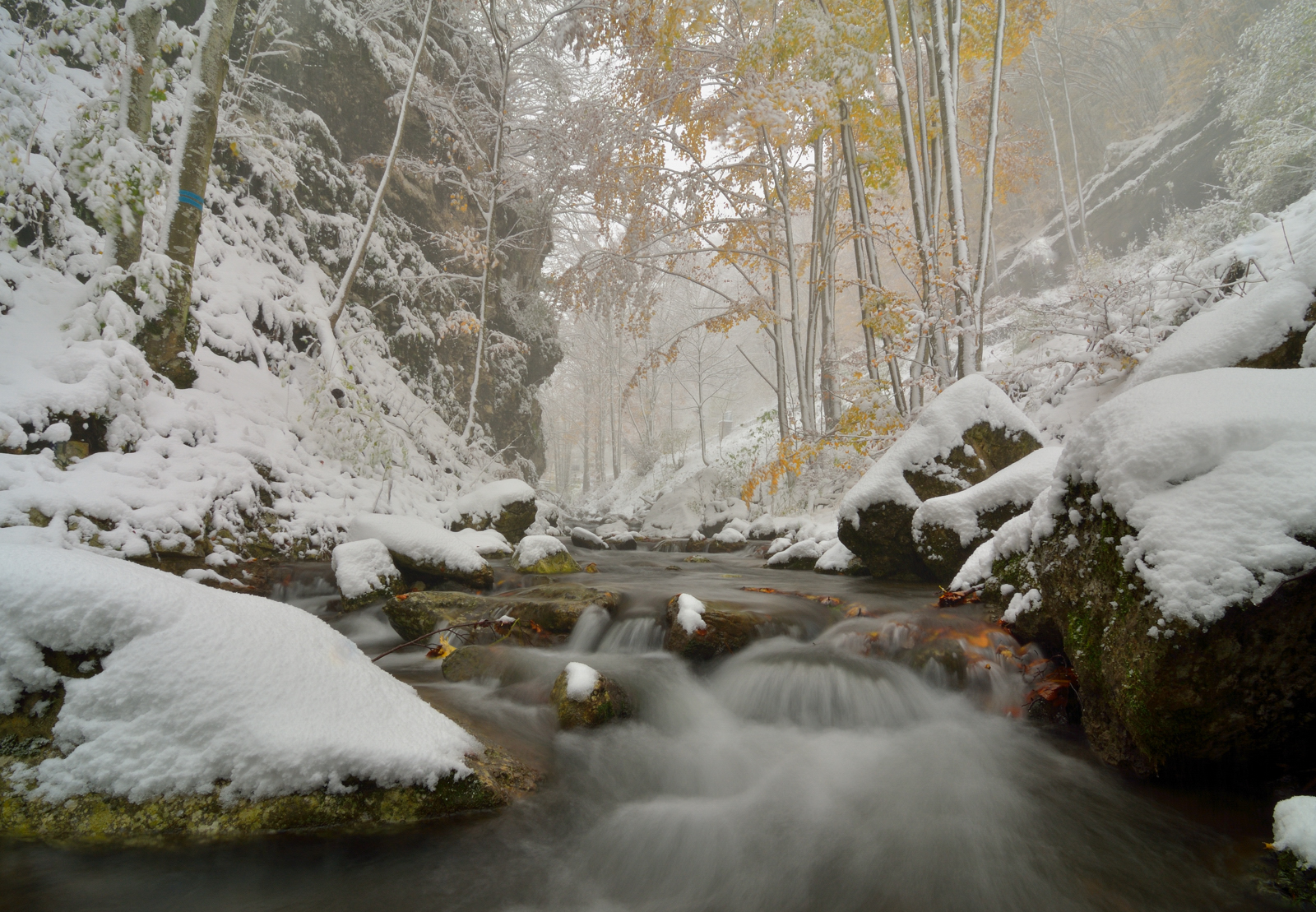 Winter 'all of a sudden