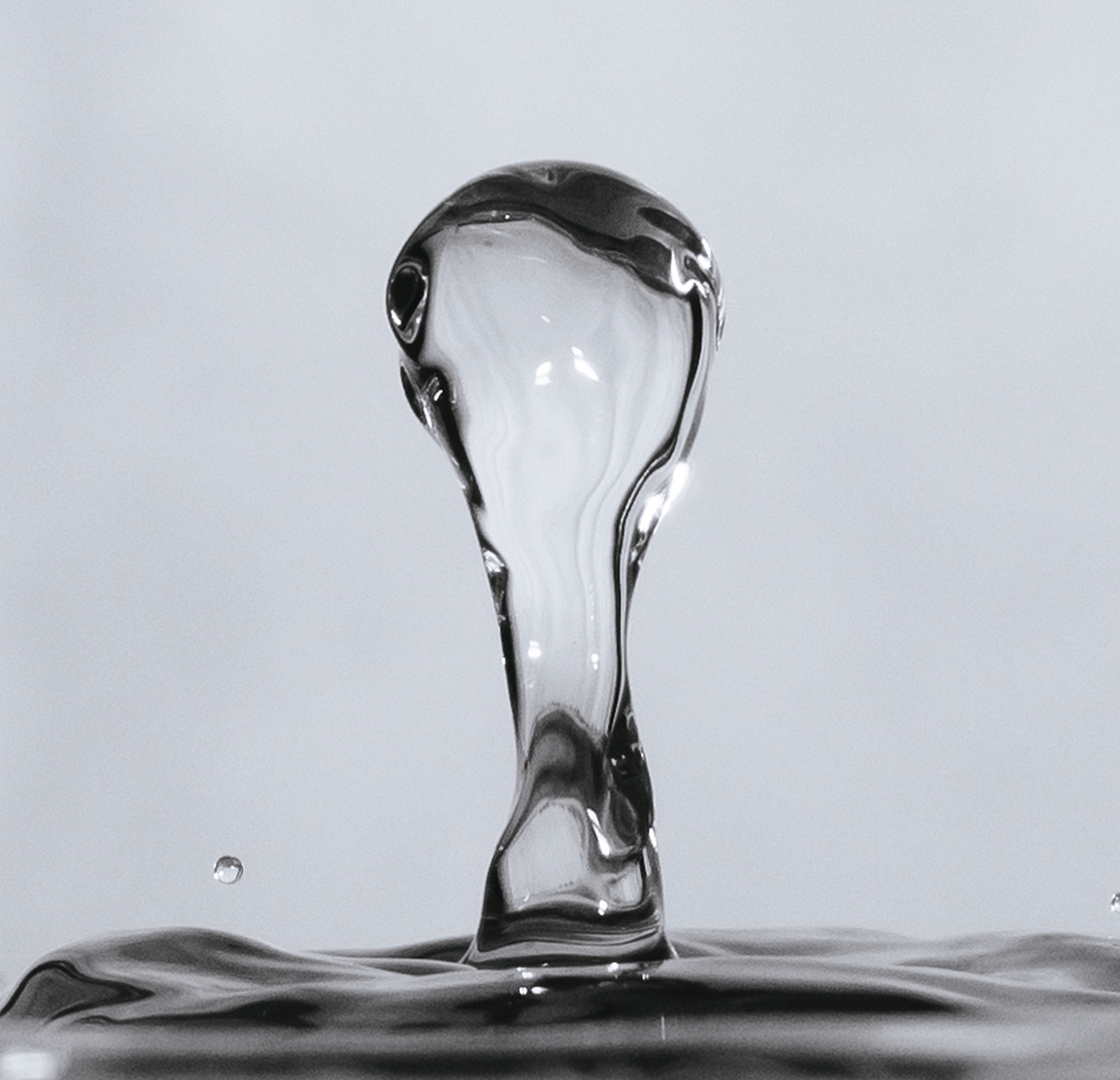 coppa del mondo FIFA