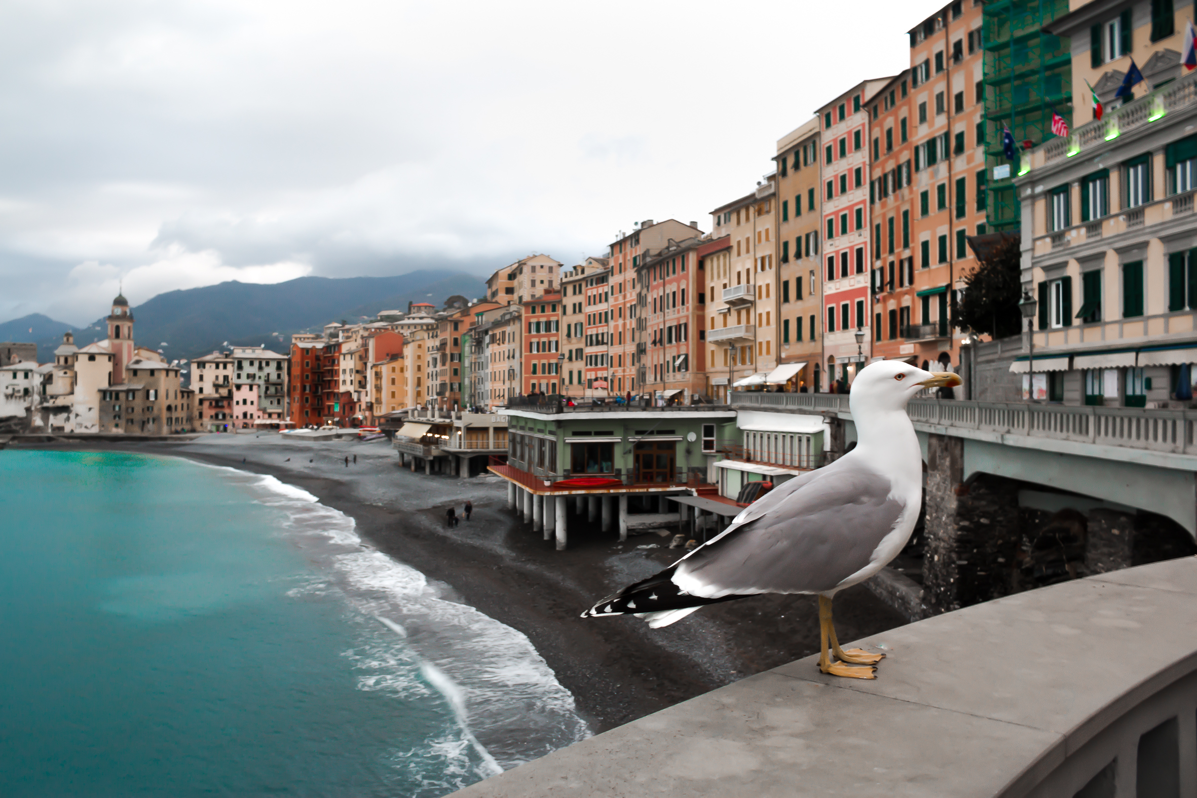 Il guardiano di Camogli