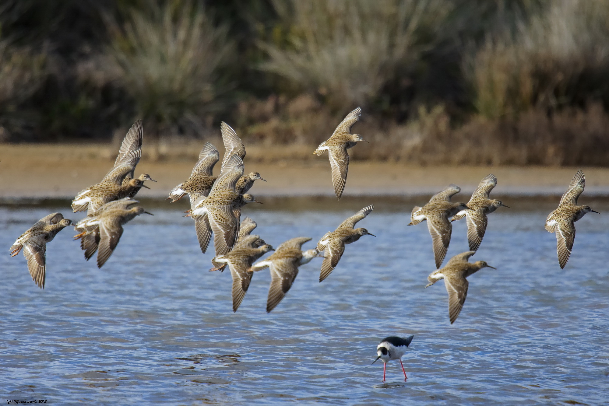The turn of the fighters