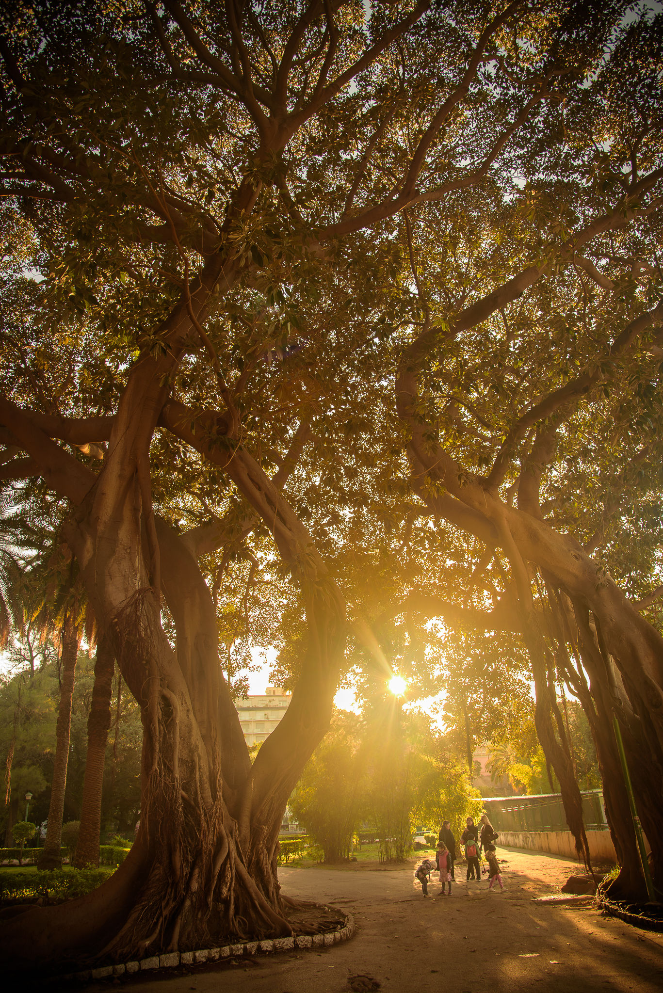 Piccoli, insignificanti, stupidi umani. Stupidi umani.