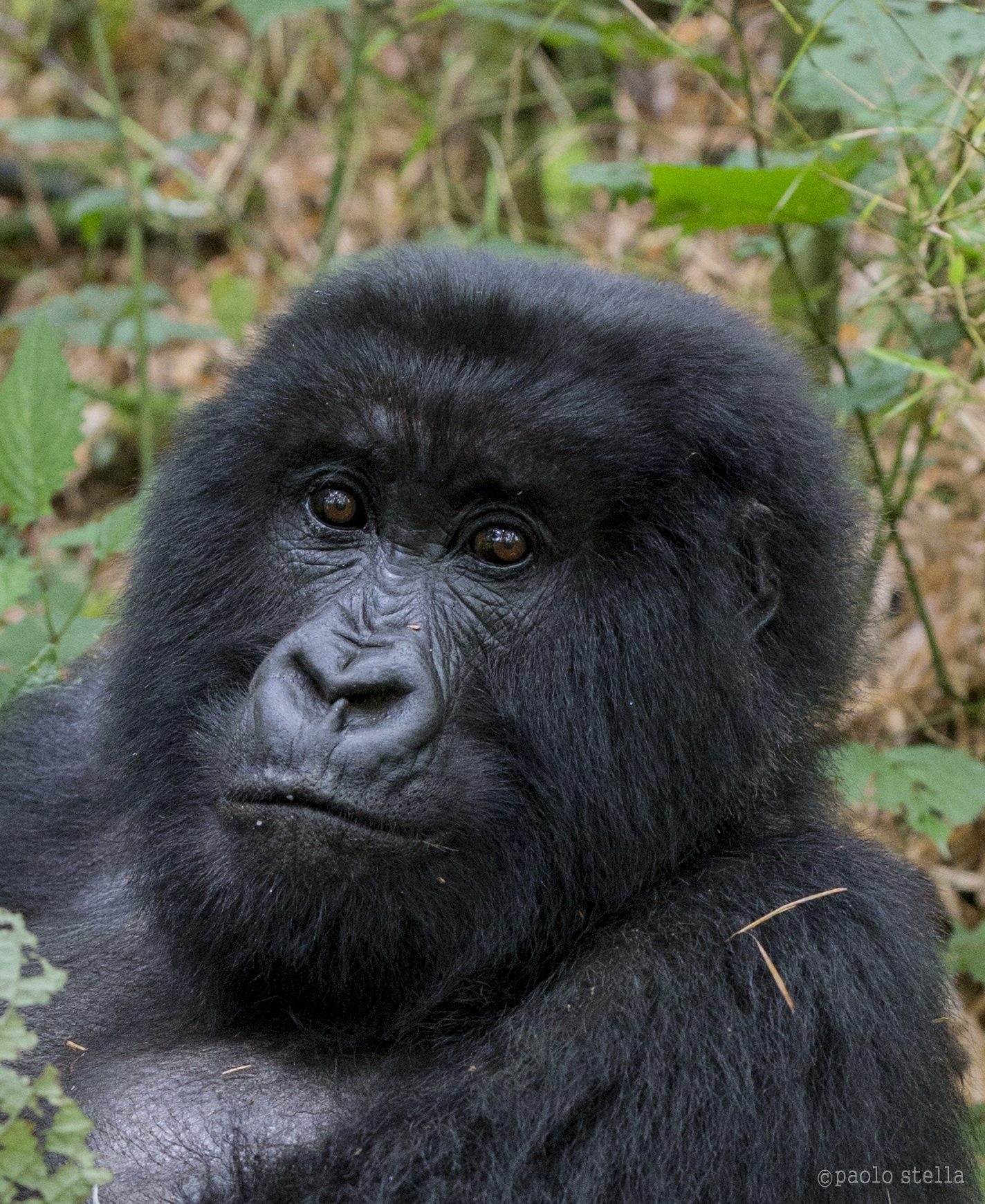 female close-up
