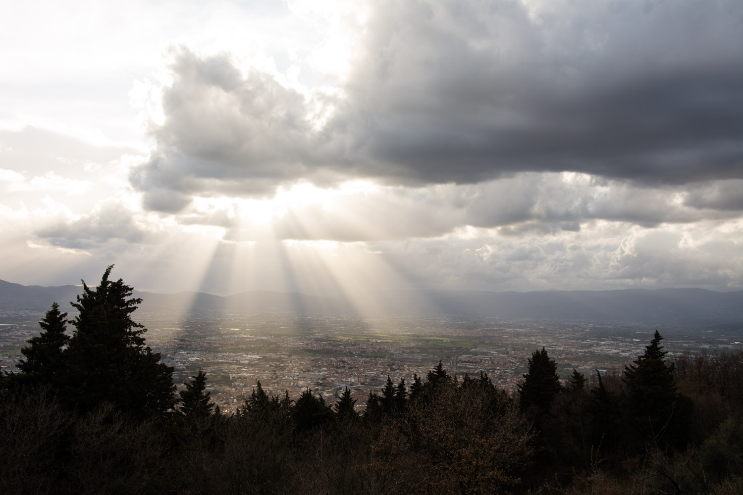 Sunbeams on Prato