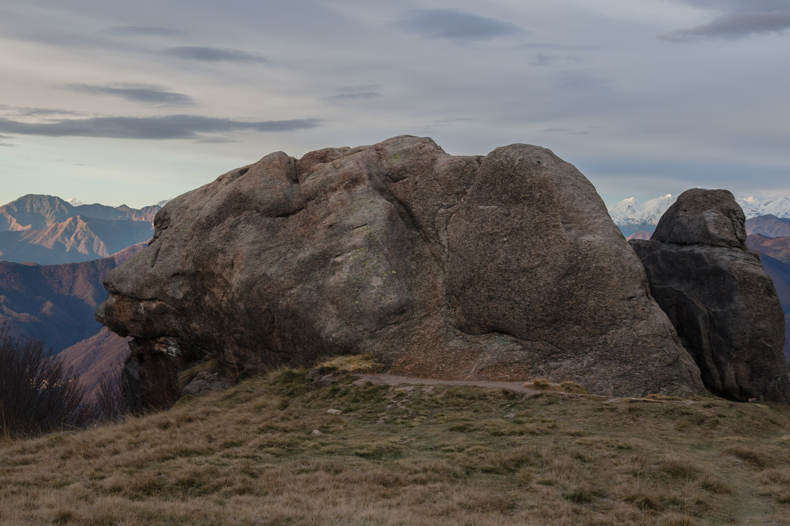 Orso in libertà al Mottarone