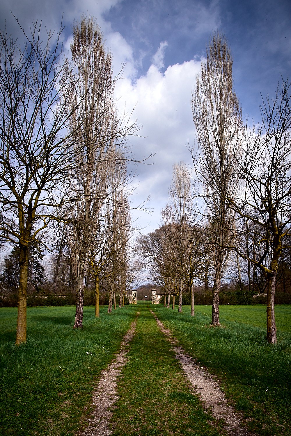 viale campestre villa C.-Albiate -MB