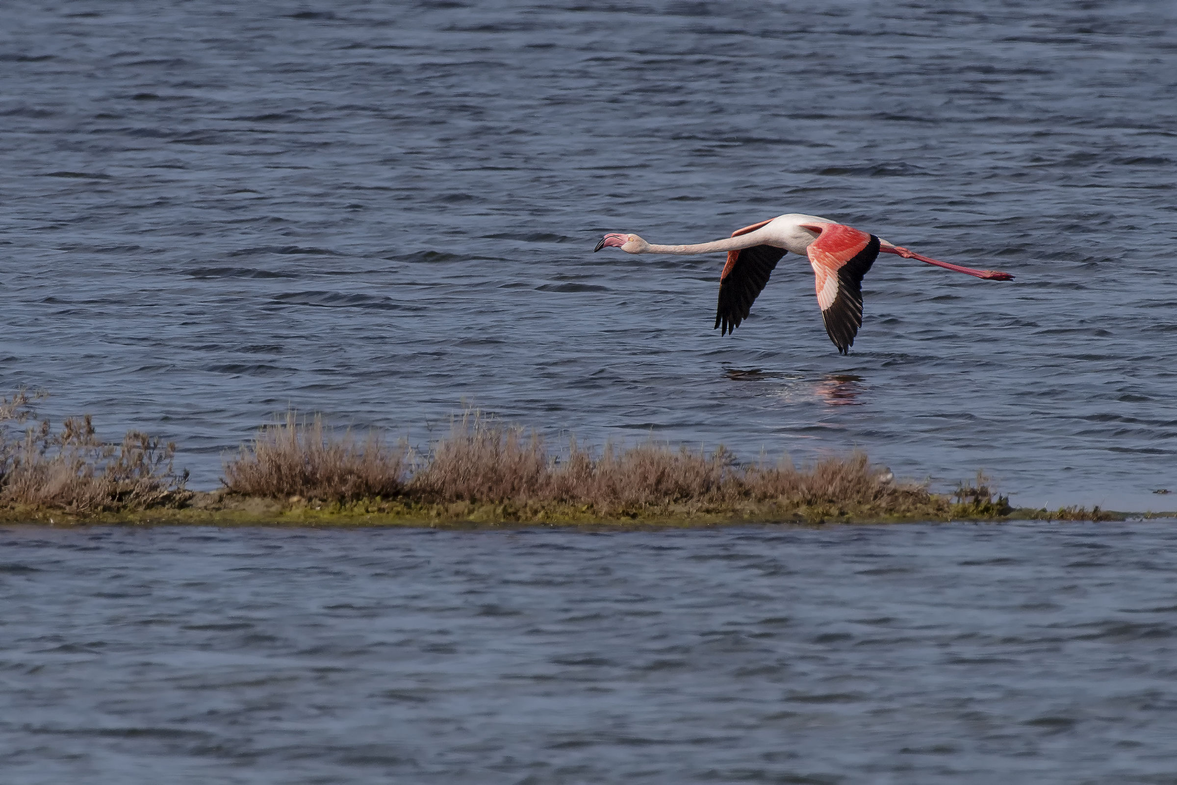 In volo a pelo d'acqua