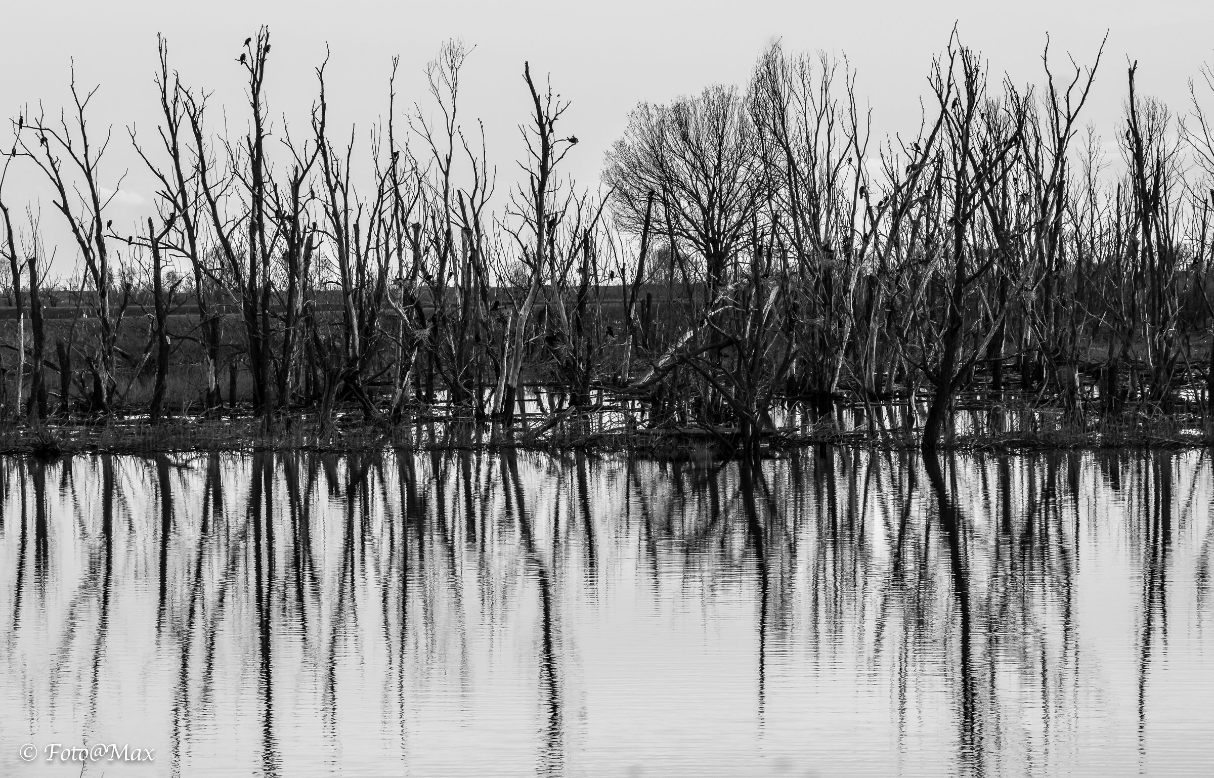 strolling around for photo hunting