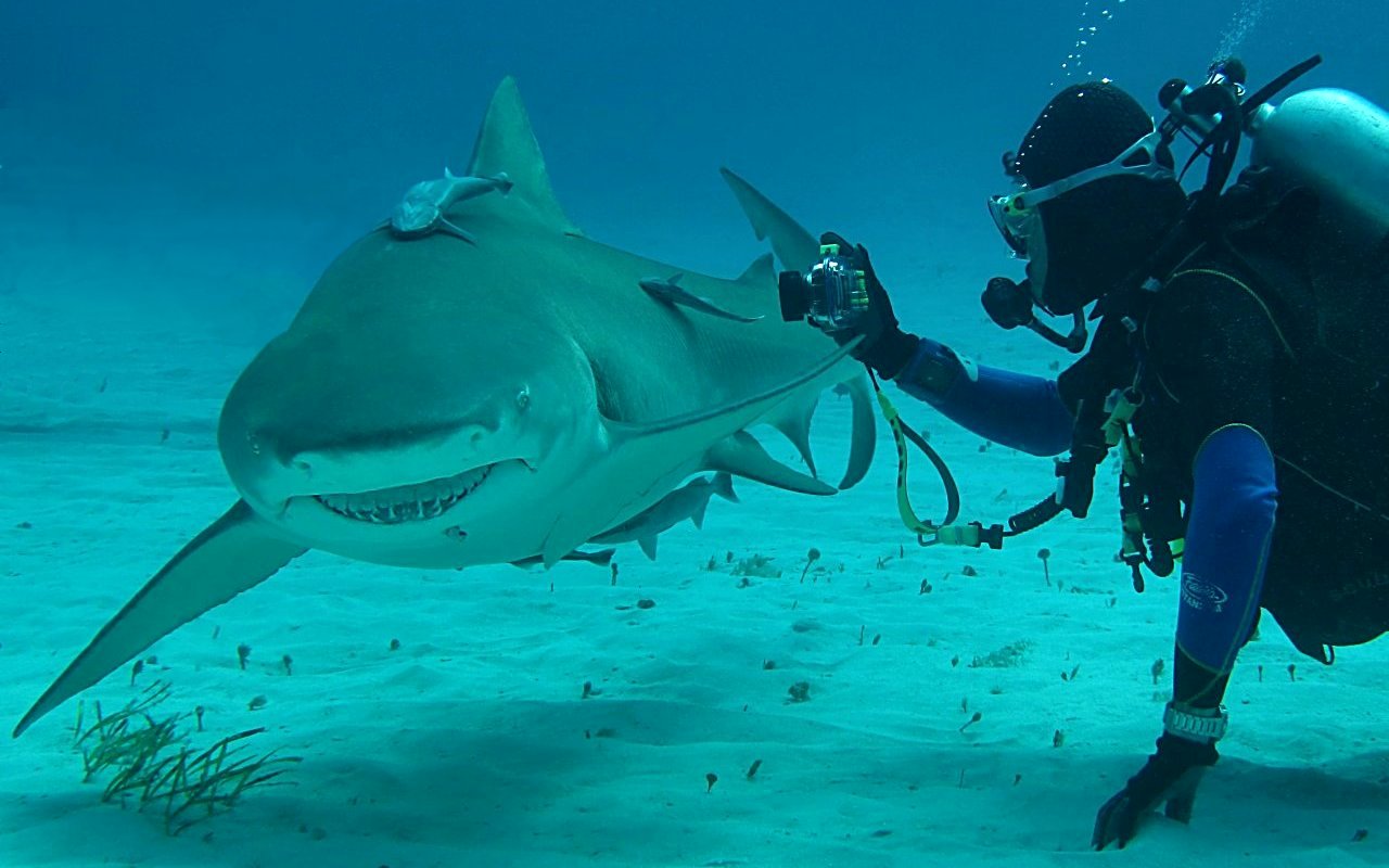 Photo cloned at the suggestion of Francis (thank you!)