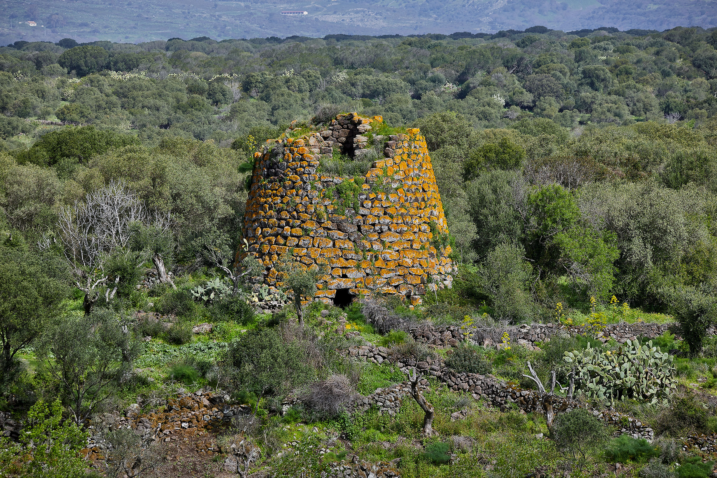 The Nuraghi - Nuraghe Crabiu