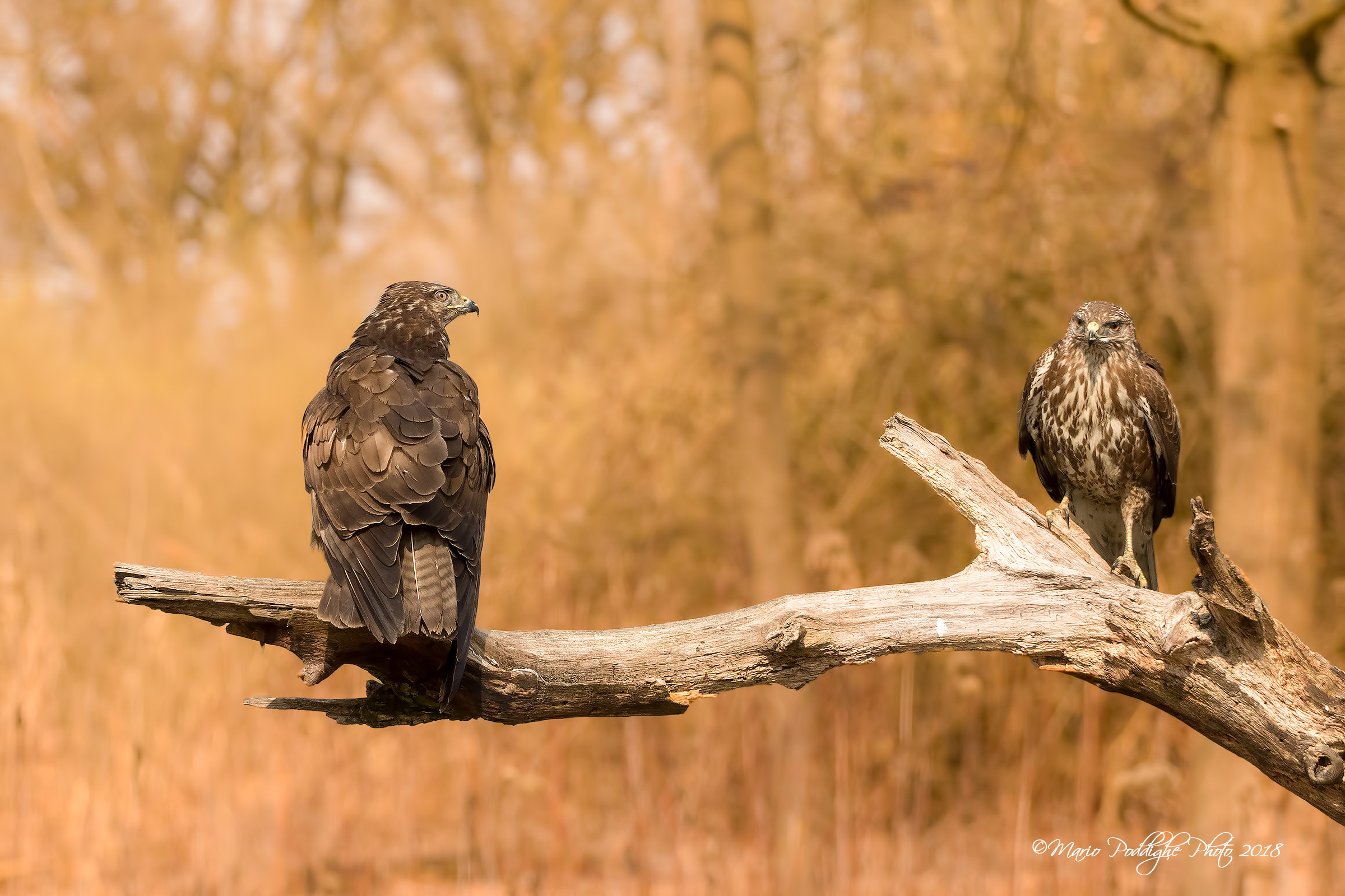 Talvolta basta uno sguardo