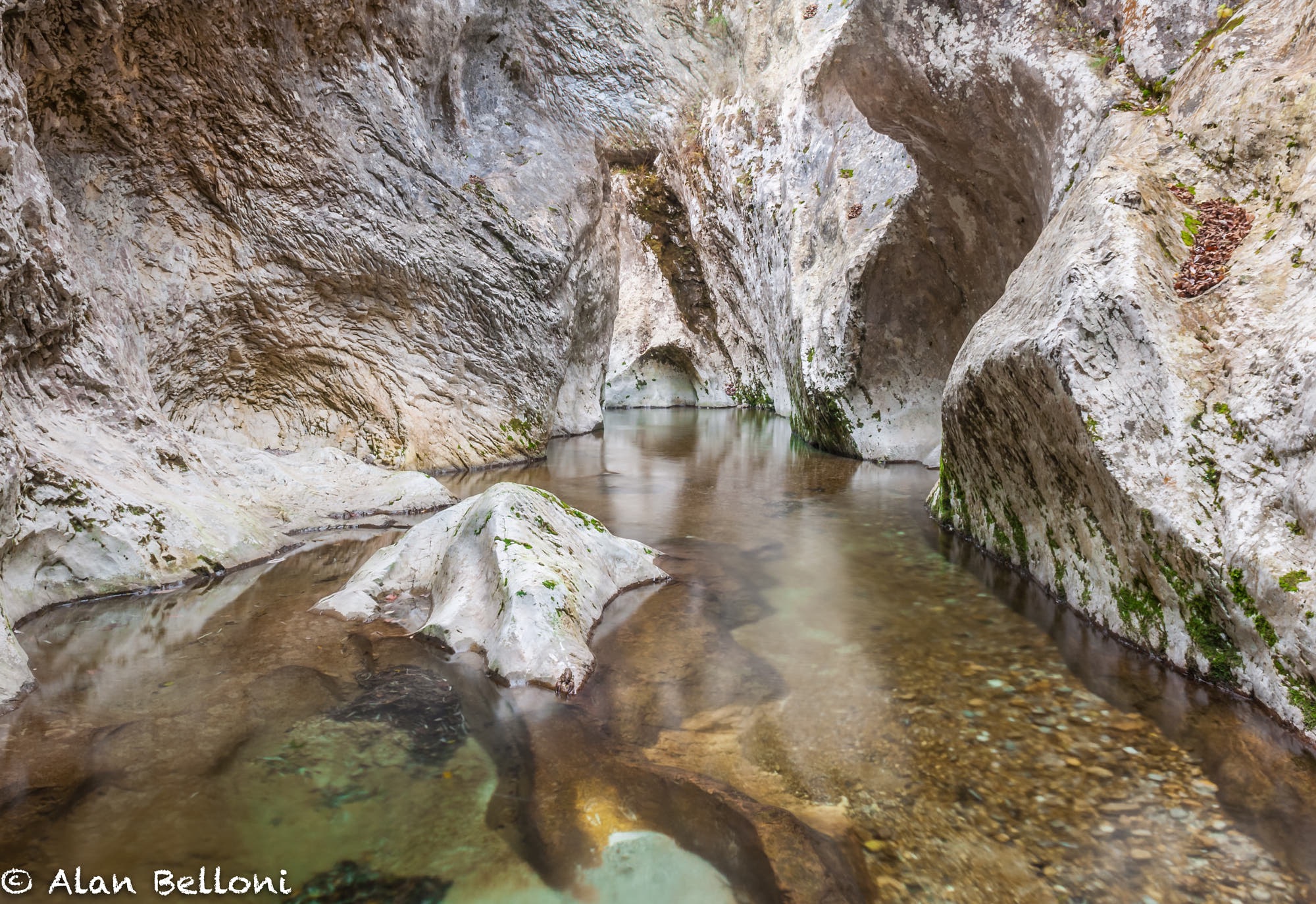 Torrente Molassa (Andreis)Friuli Venezia Giulia