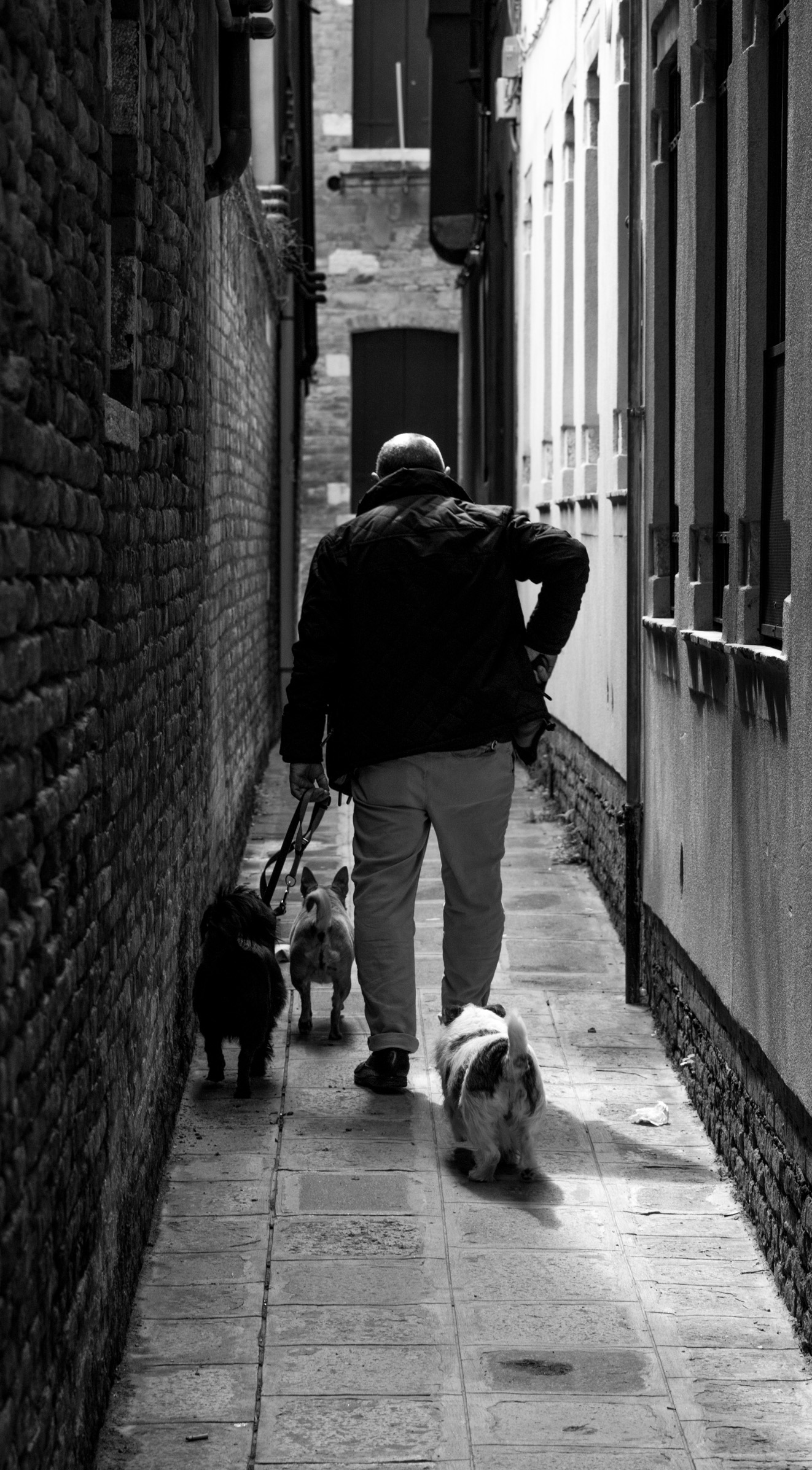 Old adventure friends