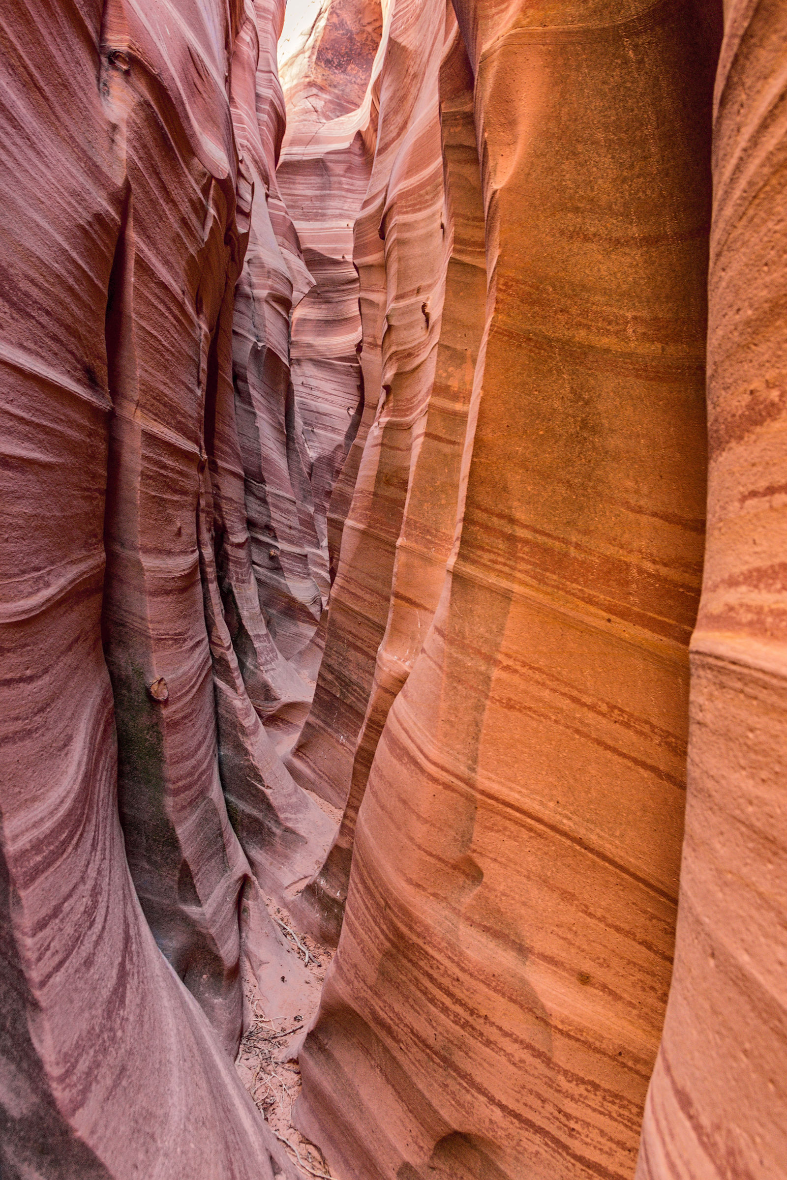 Zebra Canyon my favorite