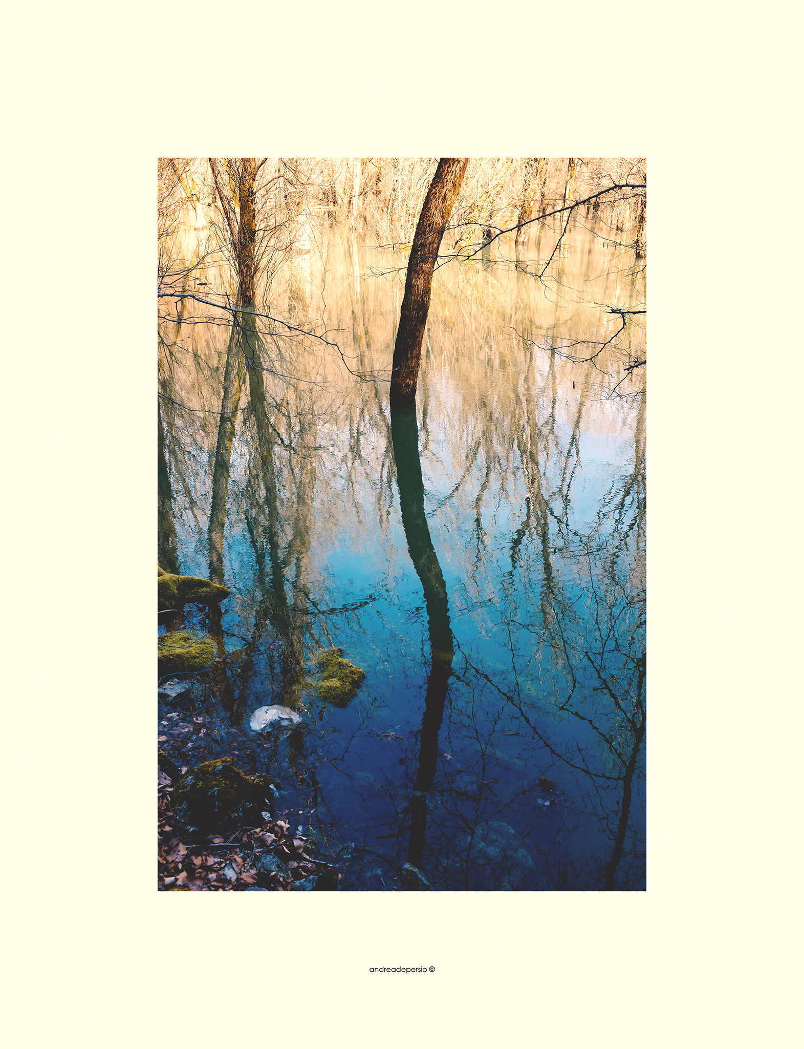 Reflections in the water