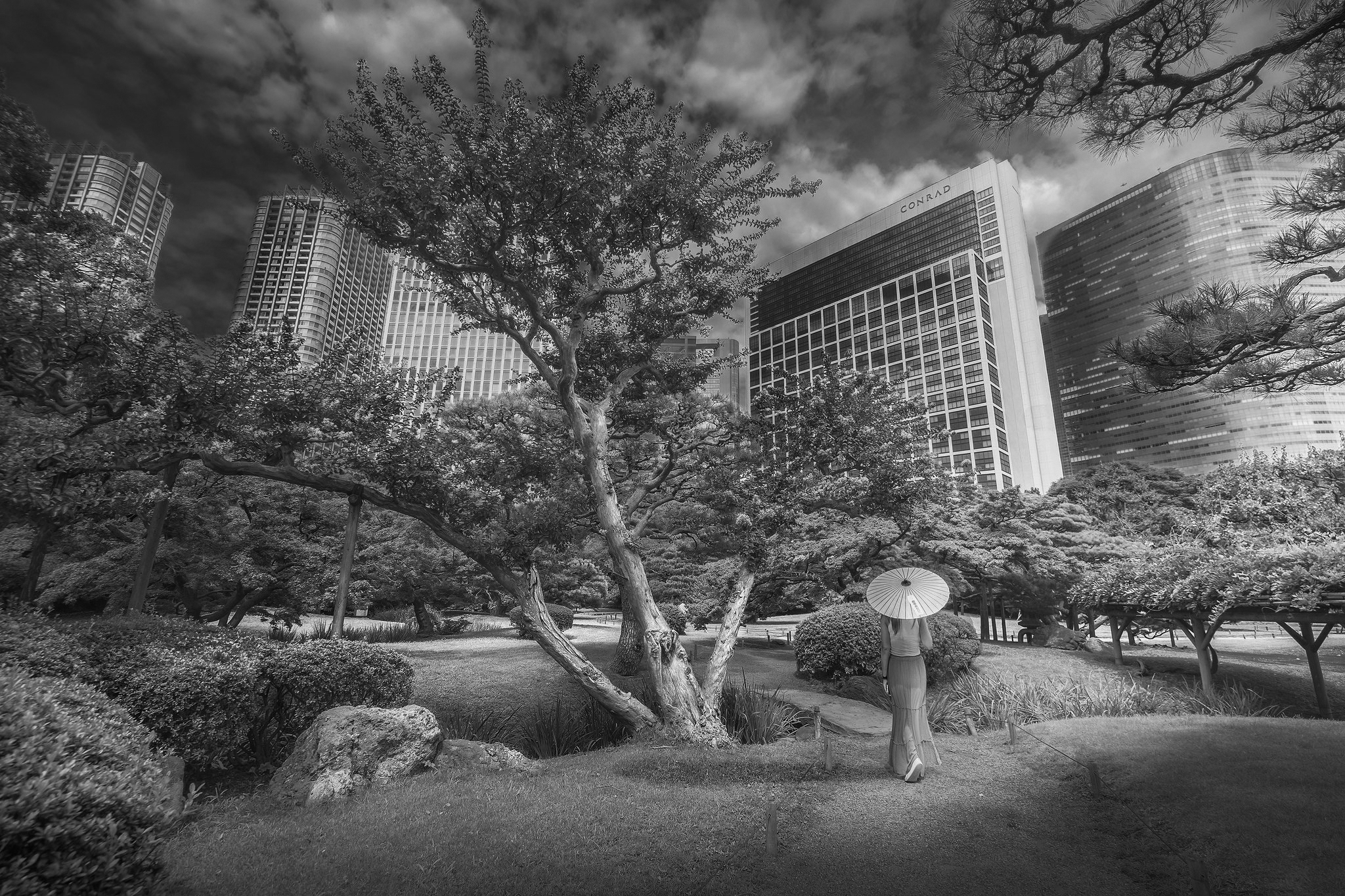 The gardens of Tokyo