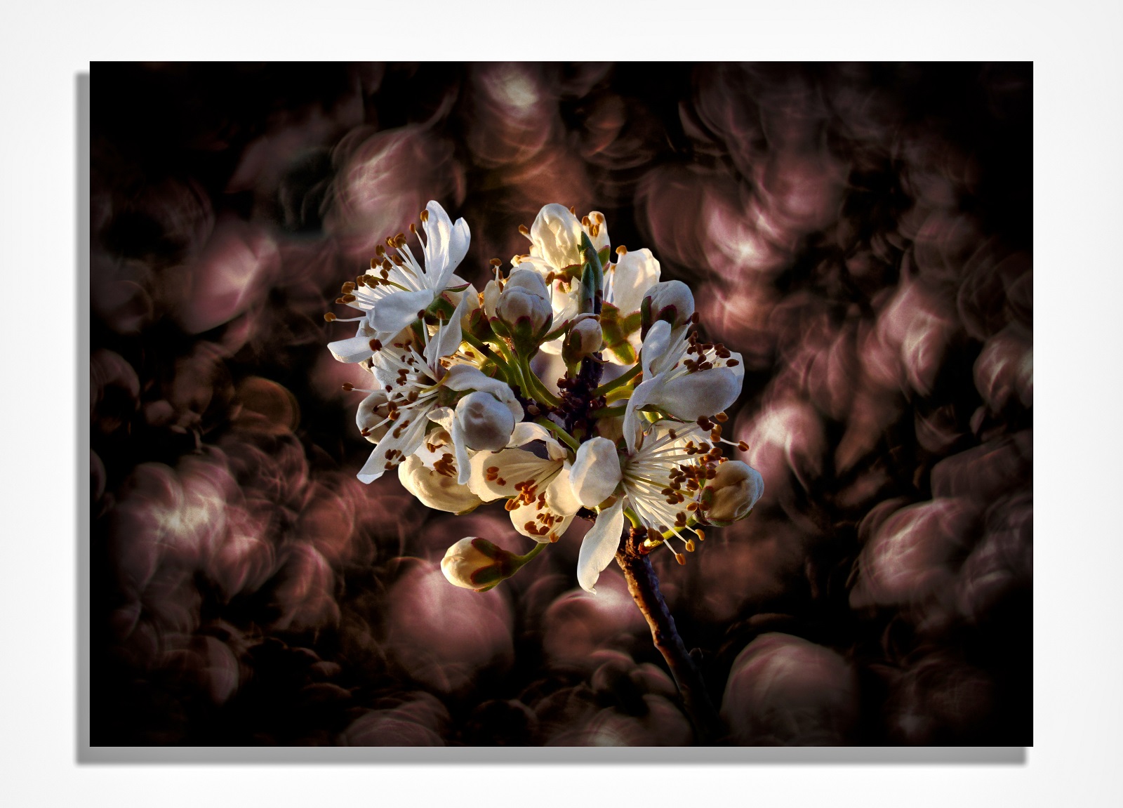 una strana primavera