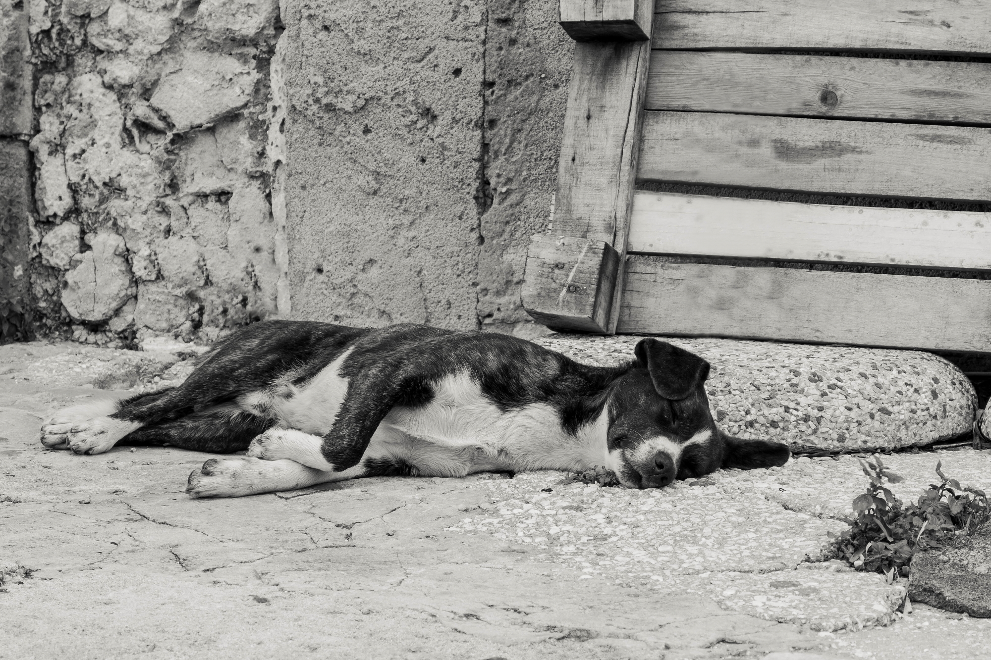 Aprile, dolce dormire