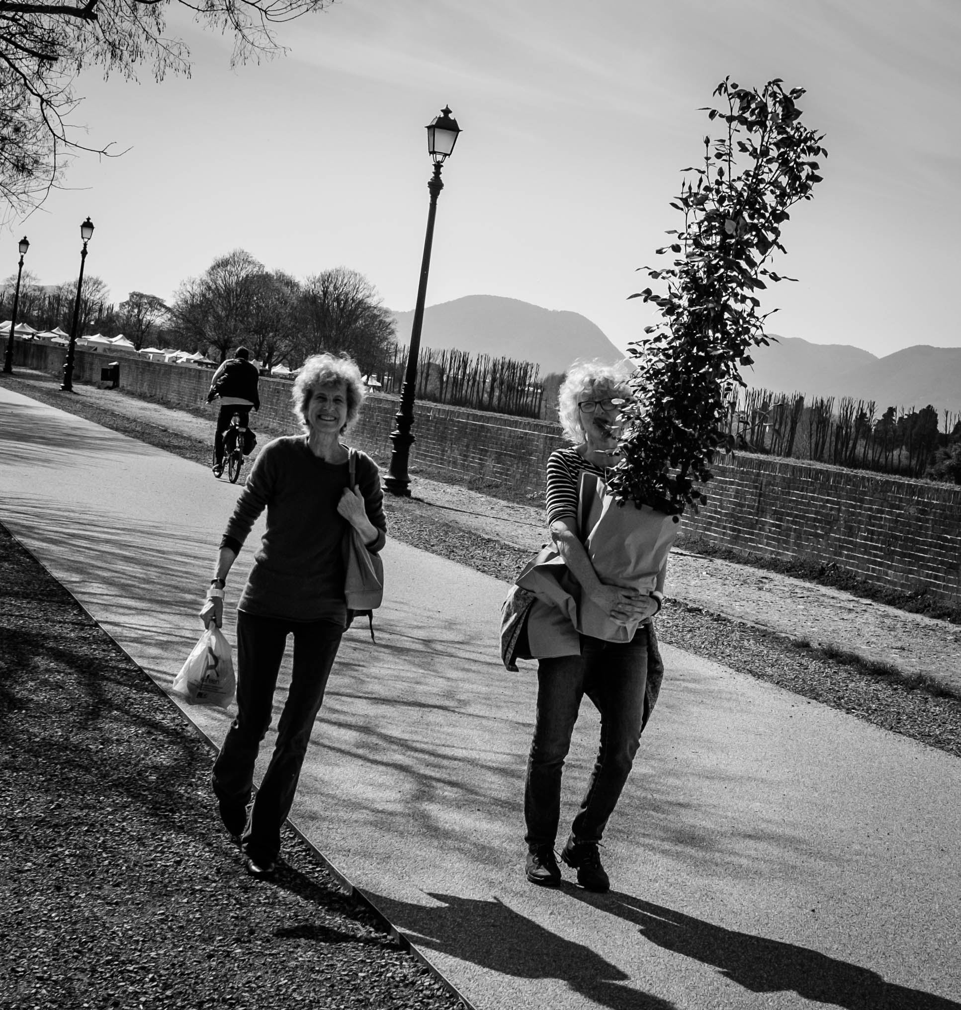 Trasporti eccezionali