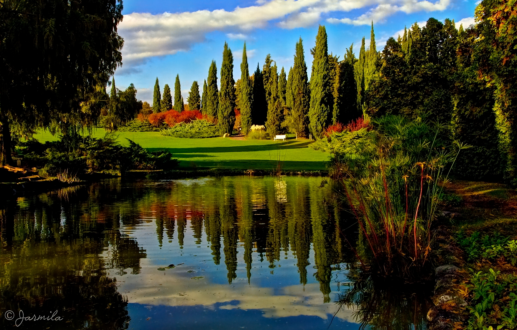 The reflections of the park