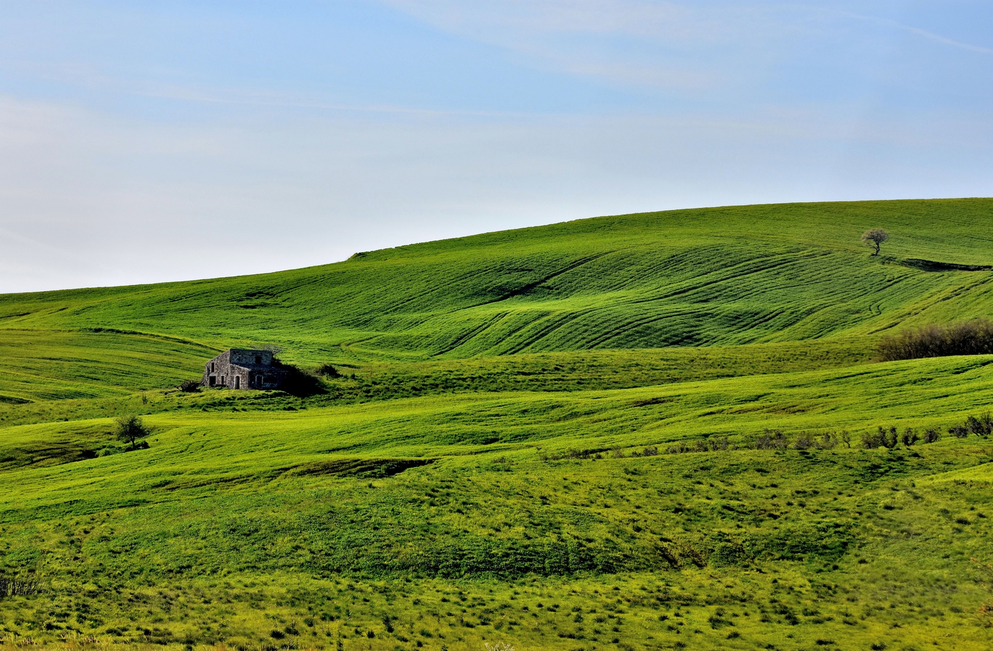 Cieli Immensi e Colline e Praterie