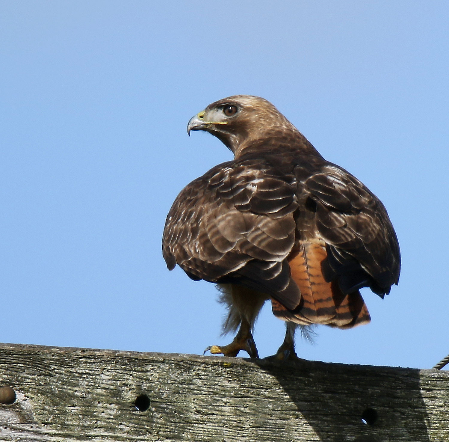 Non guardare mai indietro