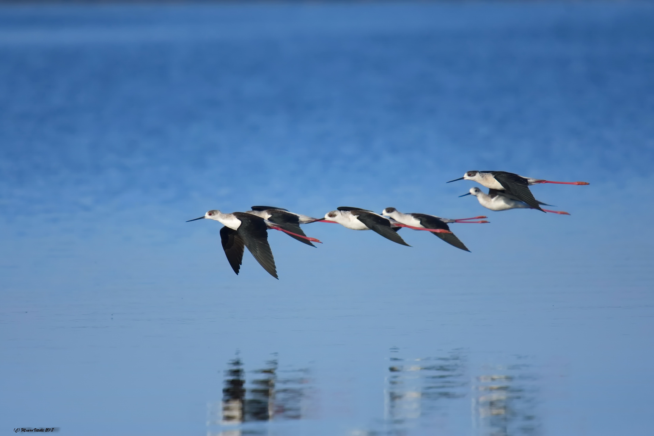 Fighters in formation