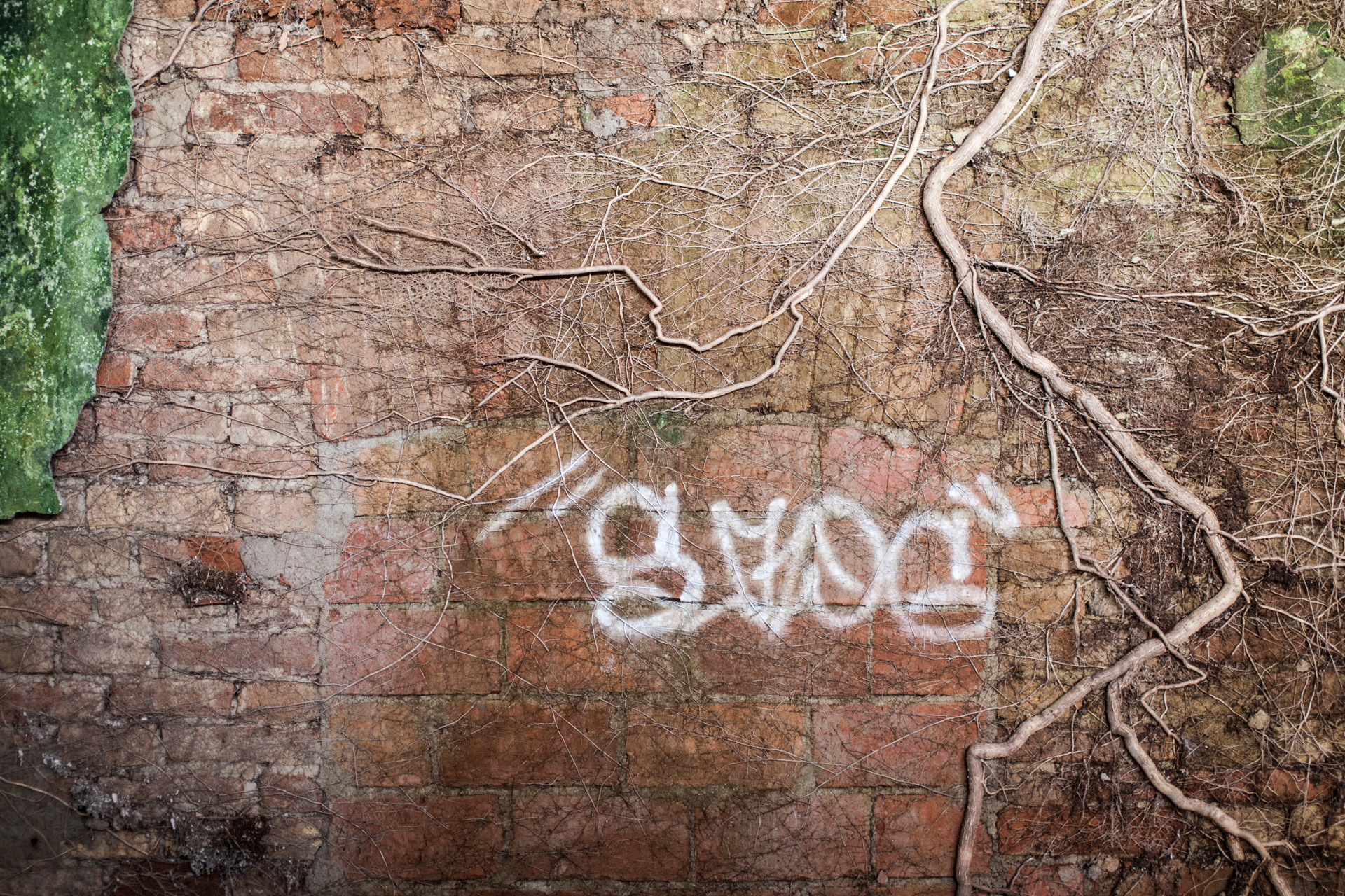 The abandoned paper mill 6