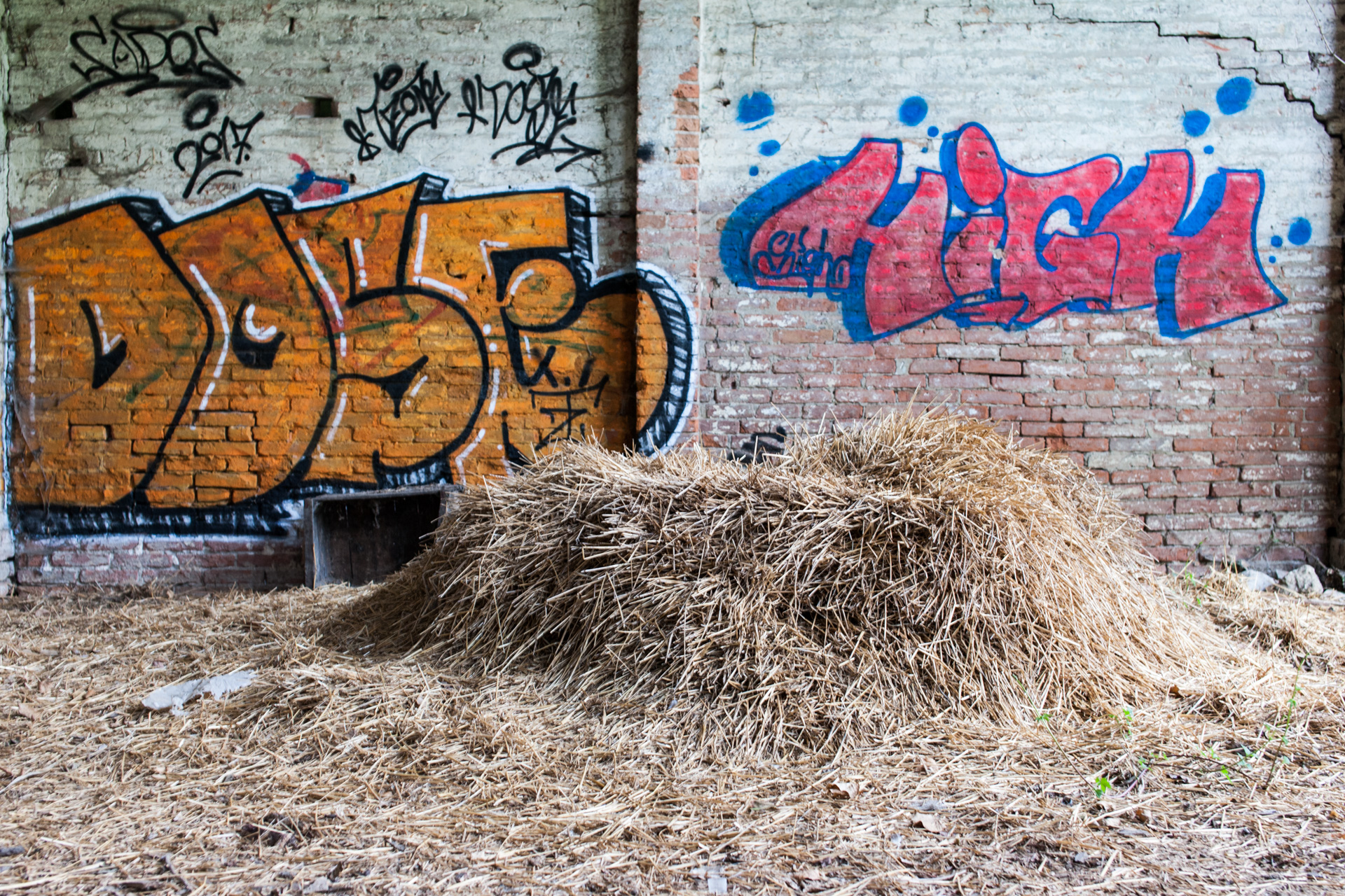 The abandoned paper mill 12