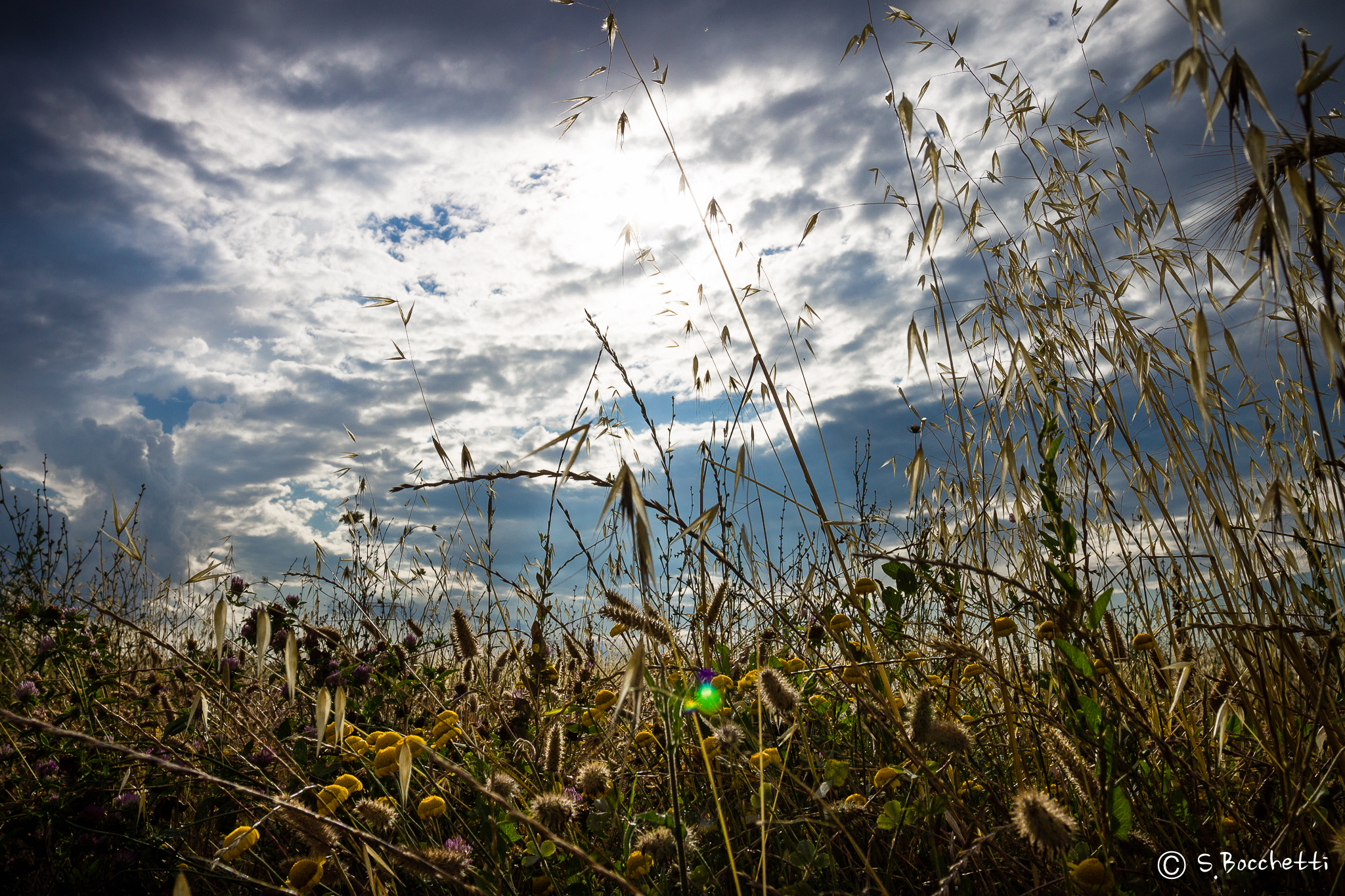 Before the thunderstorm