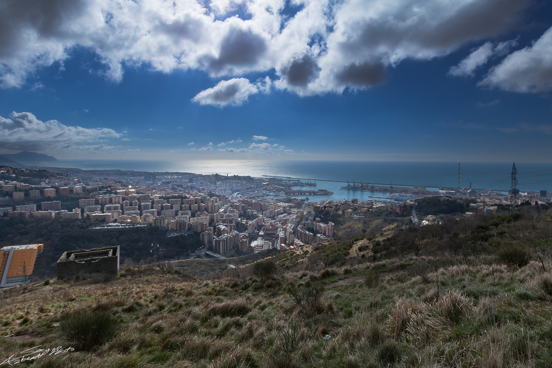 An opening among the branches.