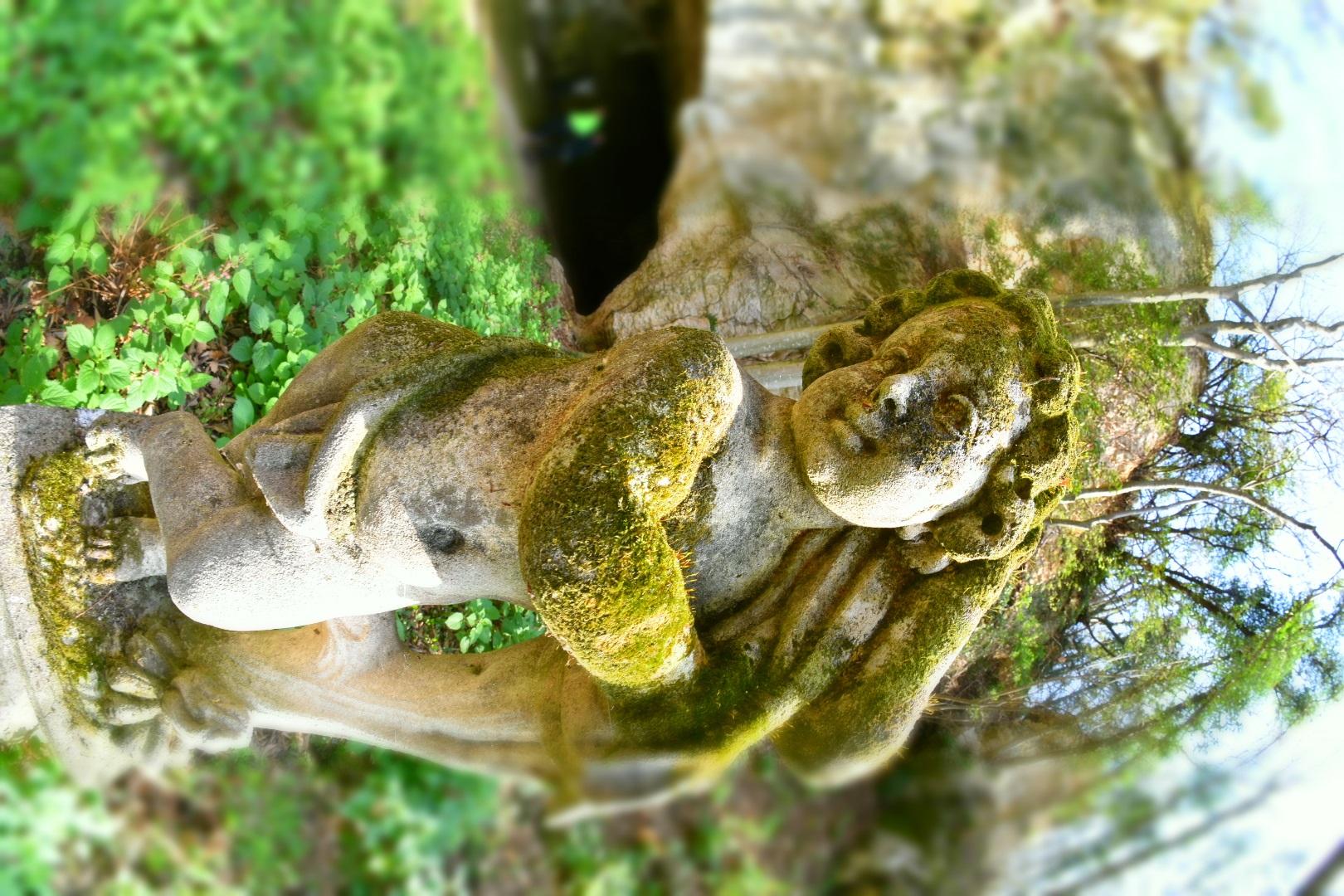 che fisico statuario