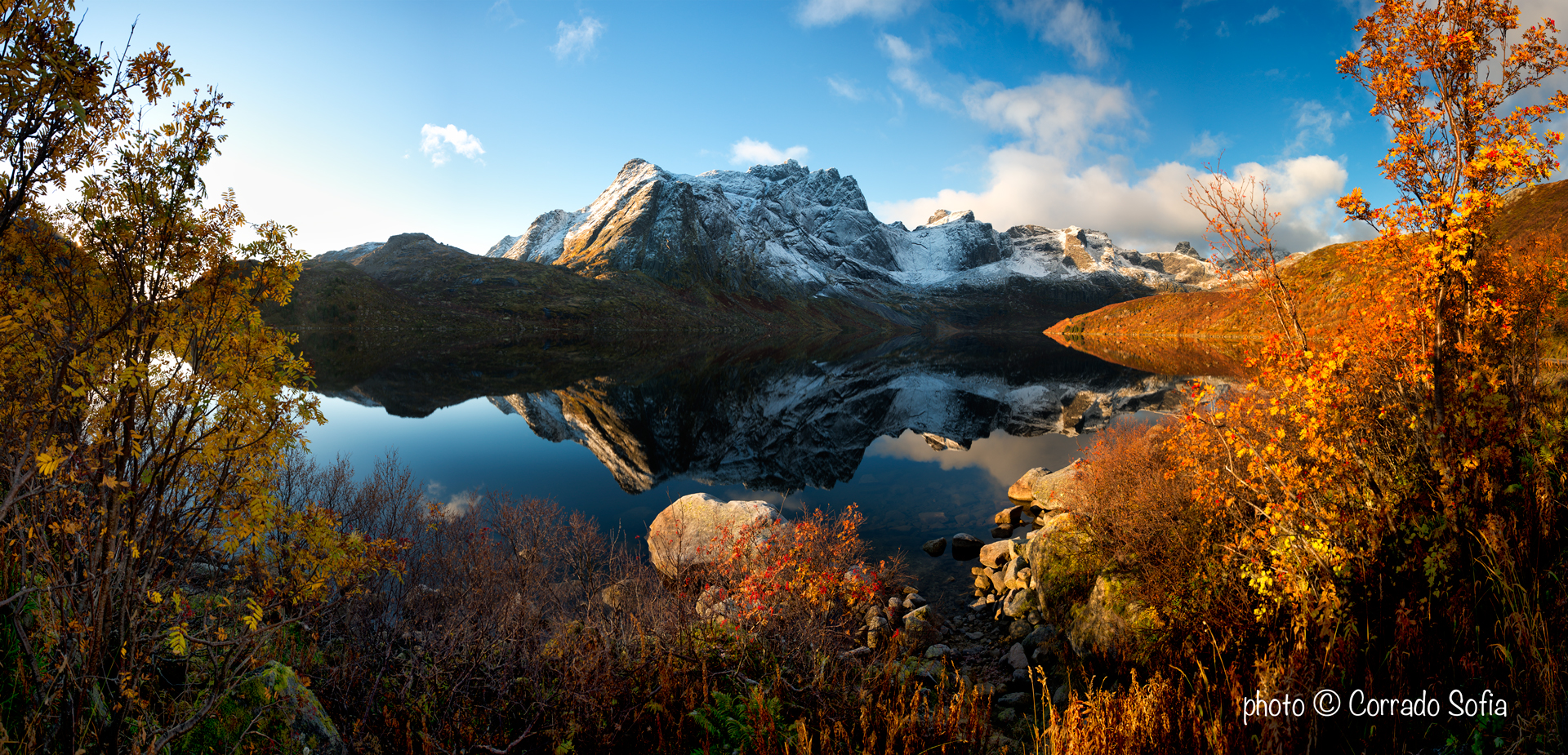 Colorful Reflection in Lofoten