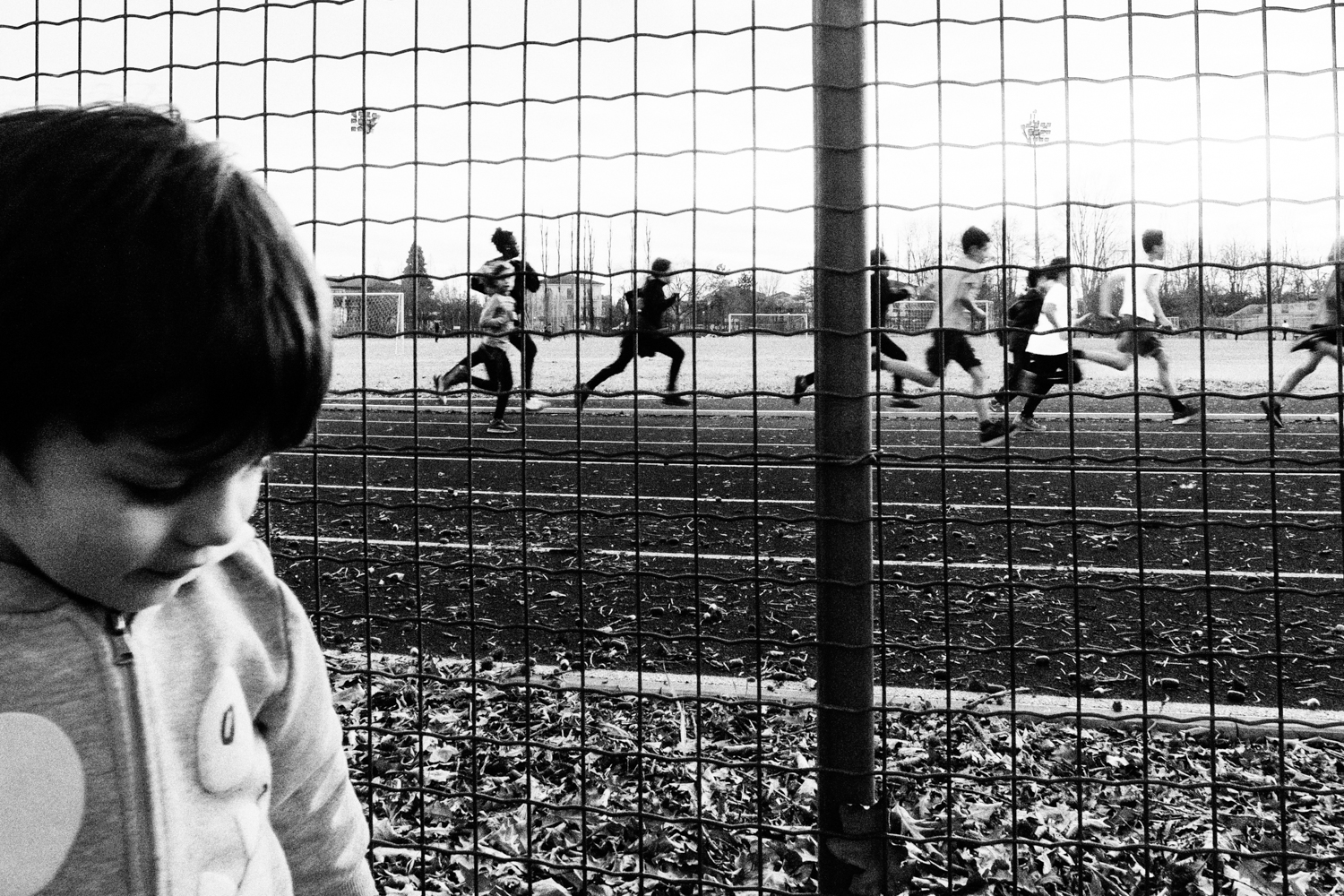 - Ale and the play court -