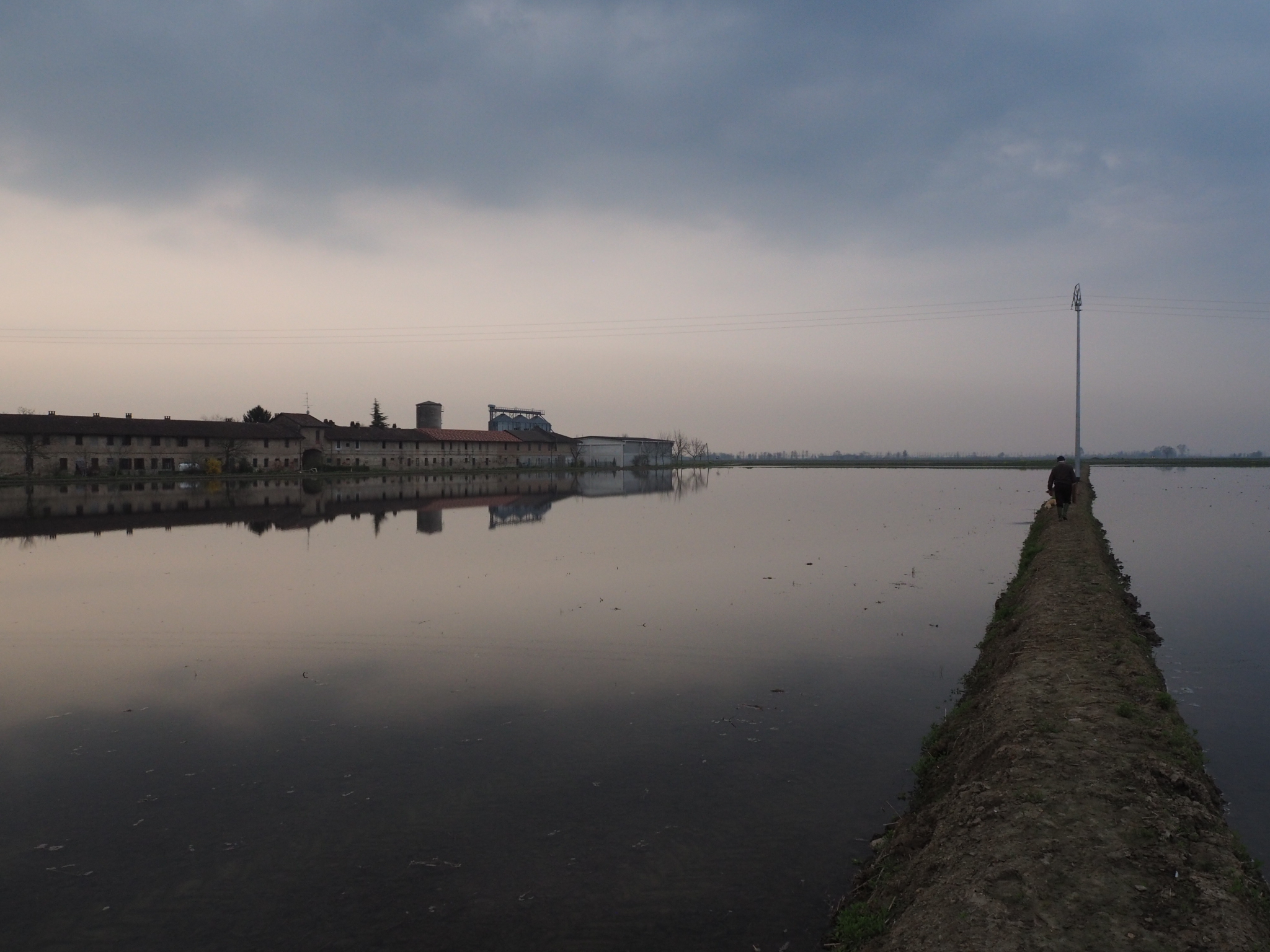 submergence of paddy fields
