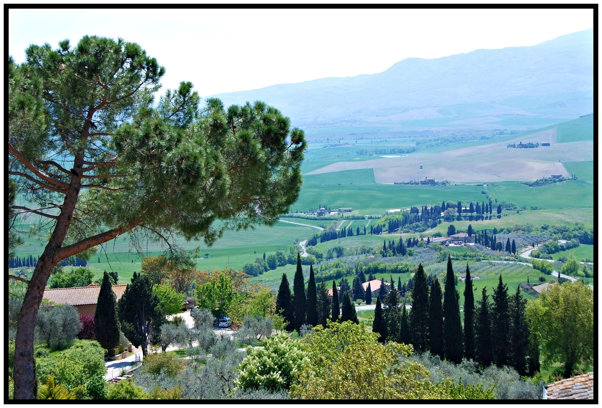 Uno sguardo sulla Val d'Orcia 2 (Pienza)
