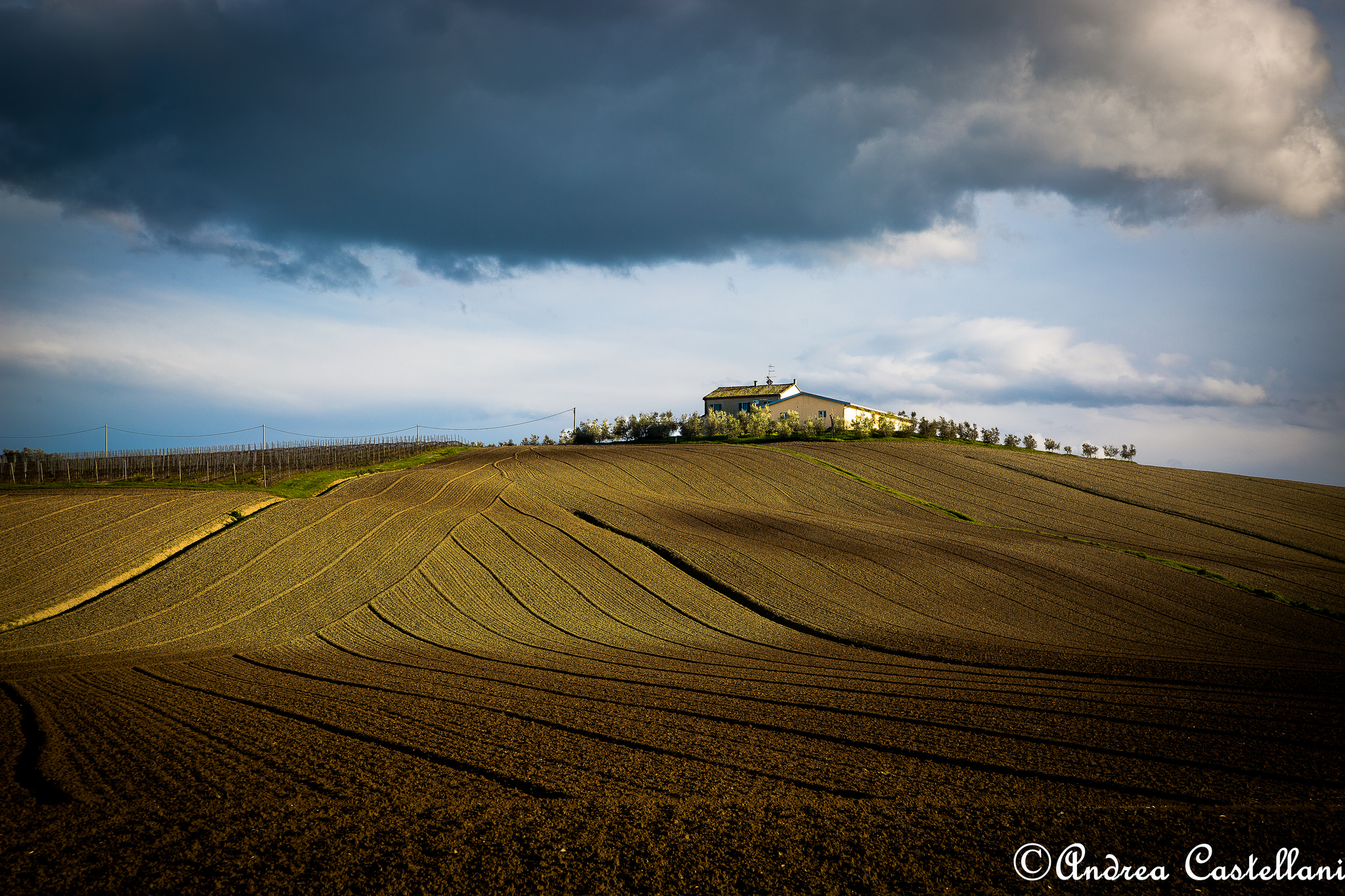 The colours of the countryside