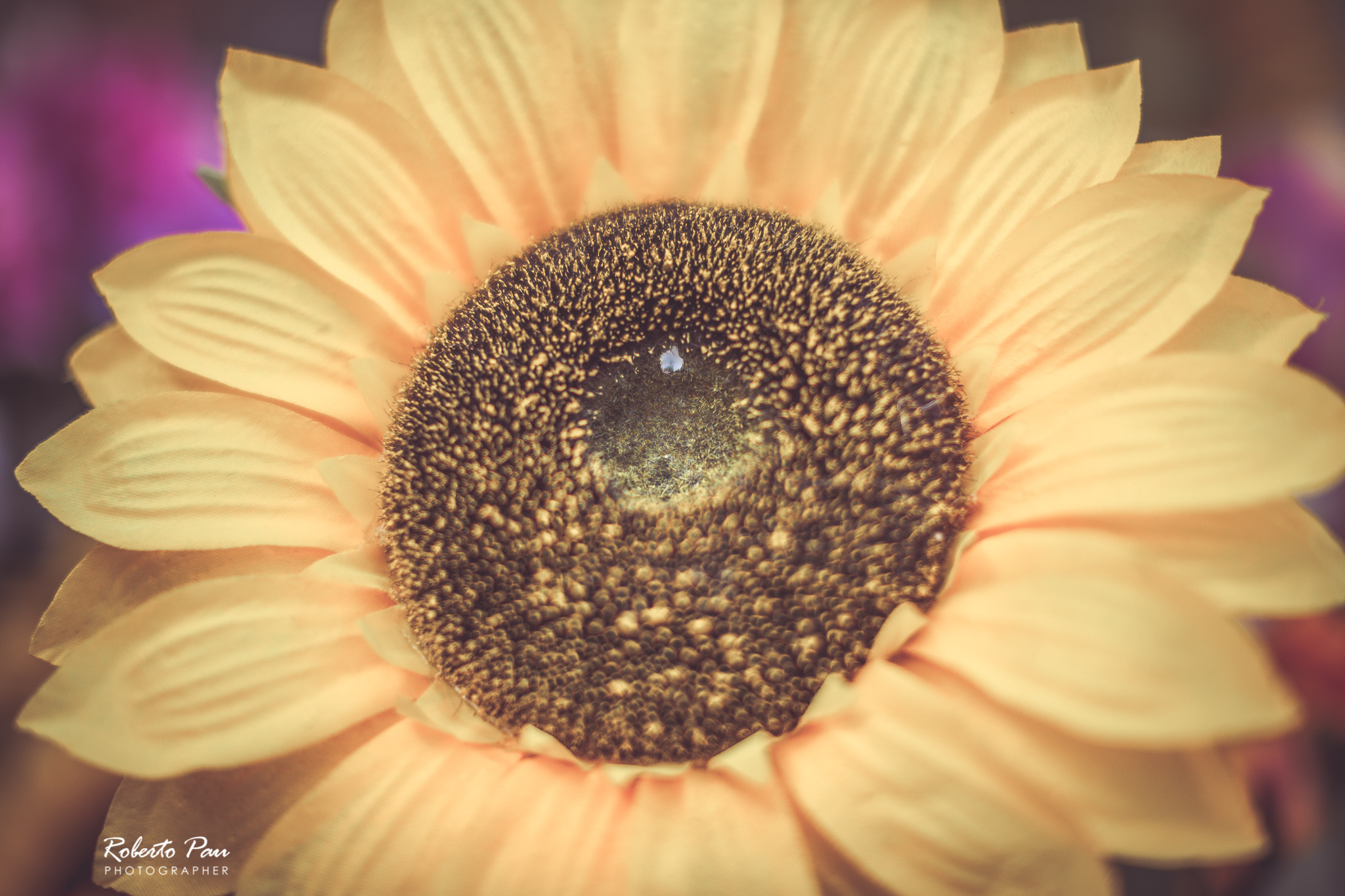 The center of the Sun