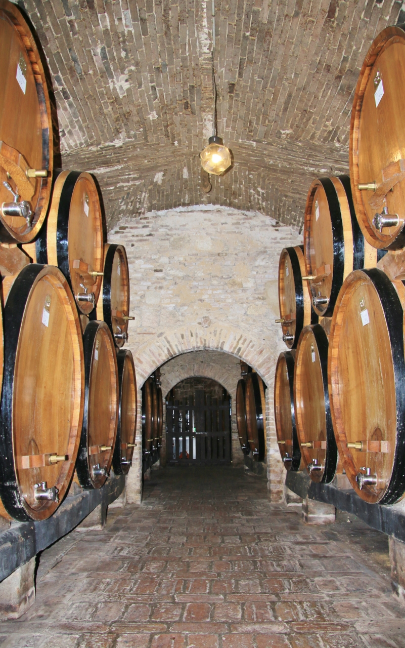 Old wine cellar