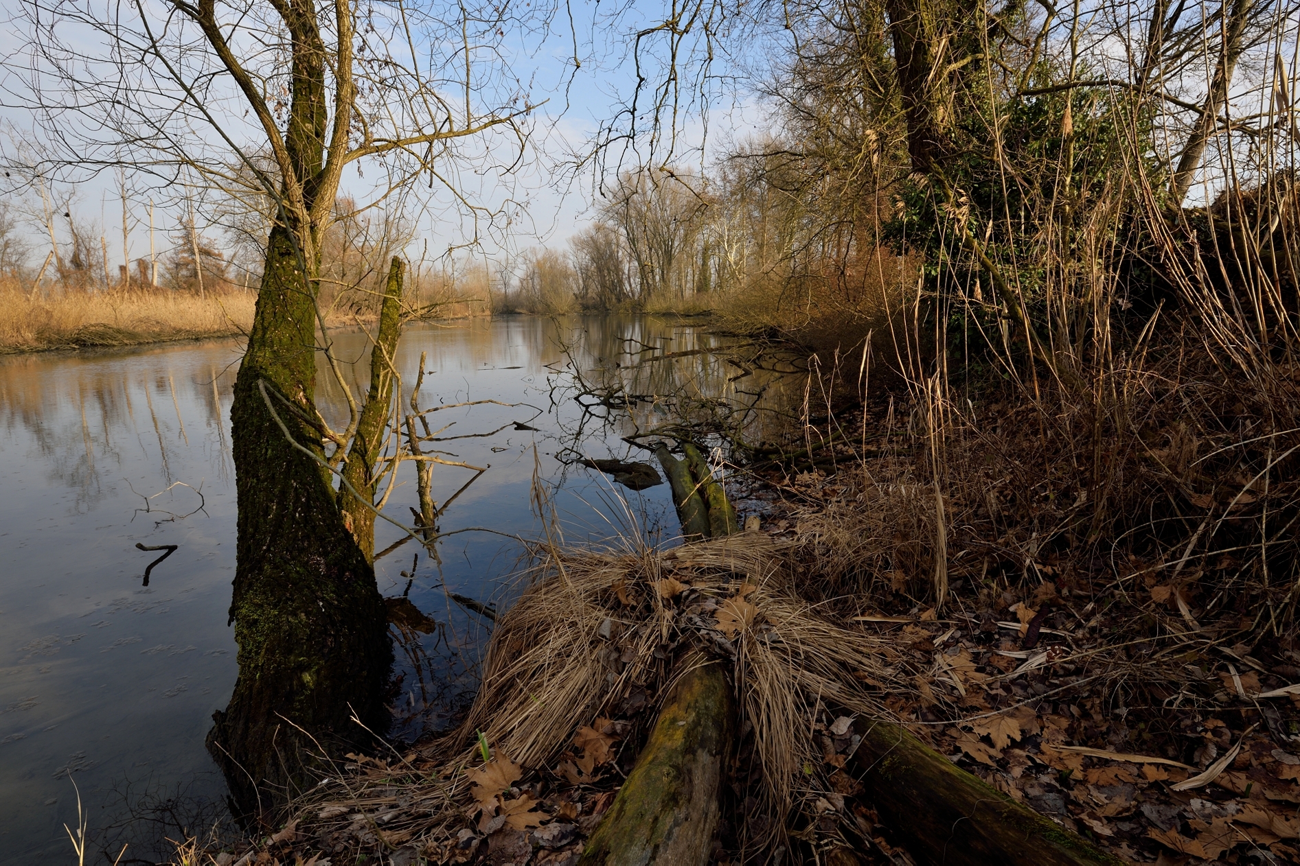 The Adda died of Cavenago d'Adda