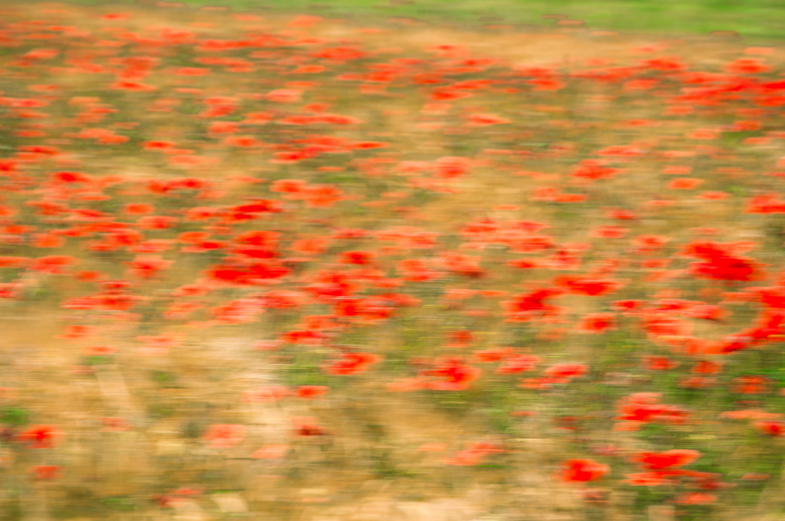 Where I wanted to take you