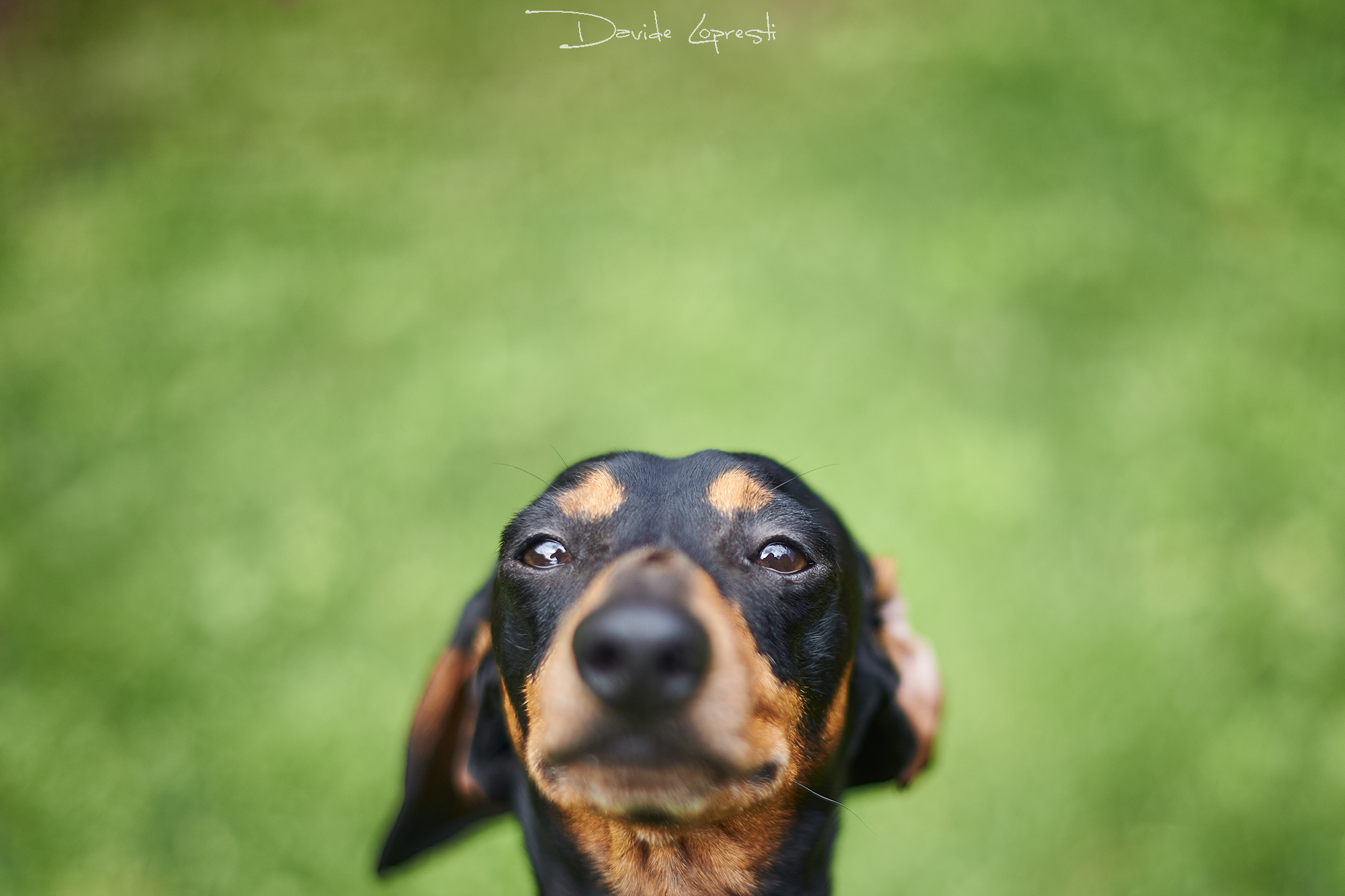 Advancing croquettes?