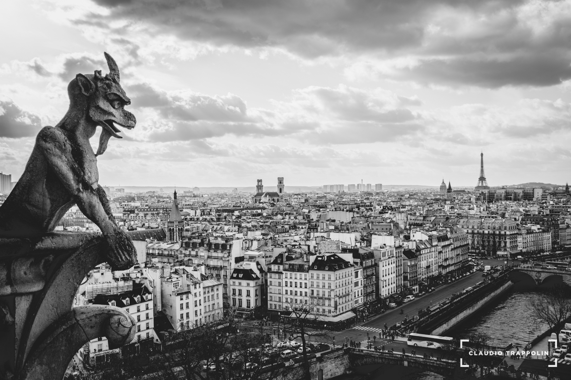 View from Notre Dame