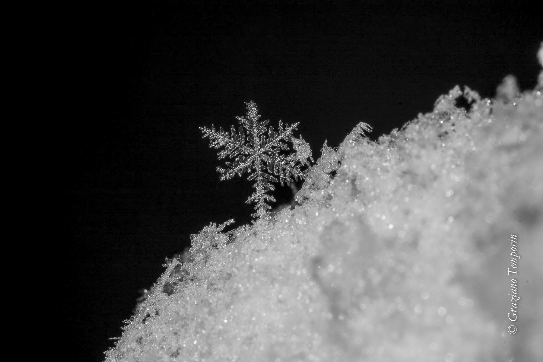 The forms of water (snowflake)