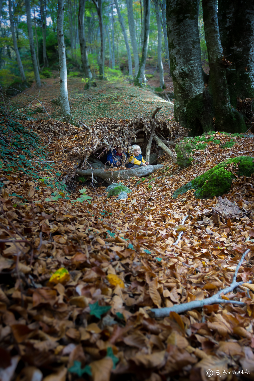 The child of the level crossing