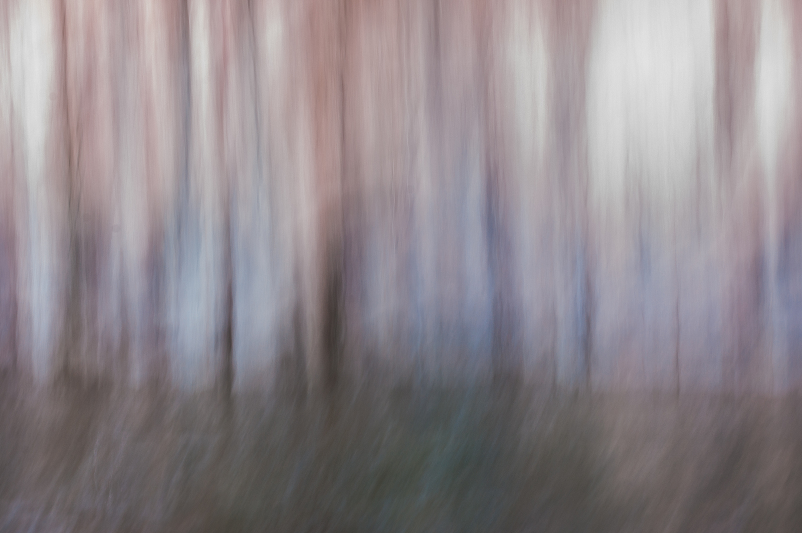 Thoughts of a winter morning