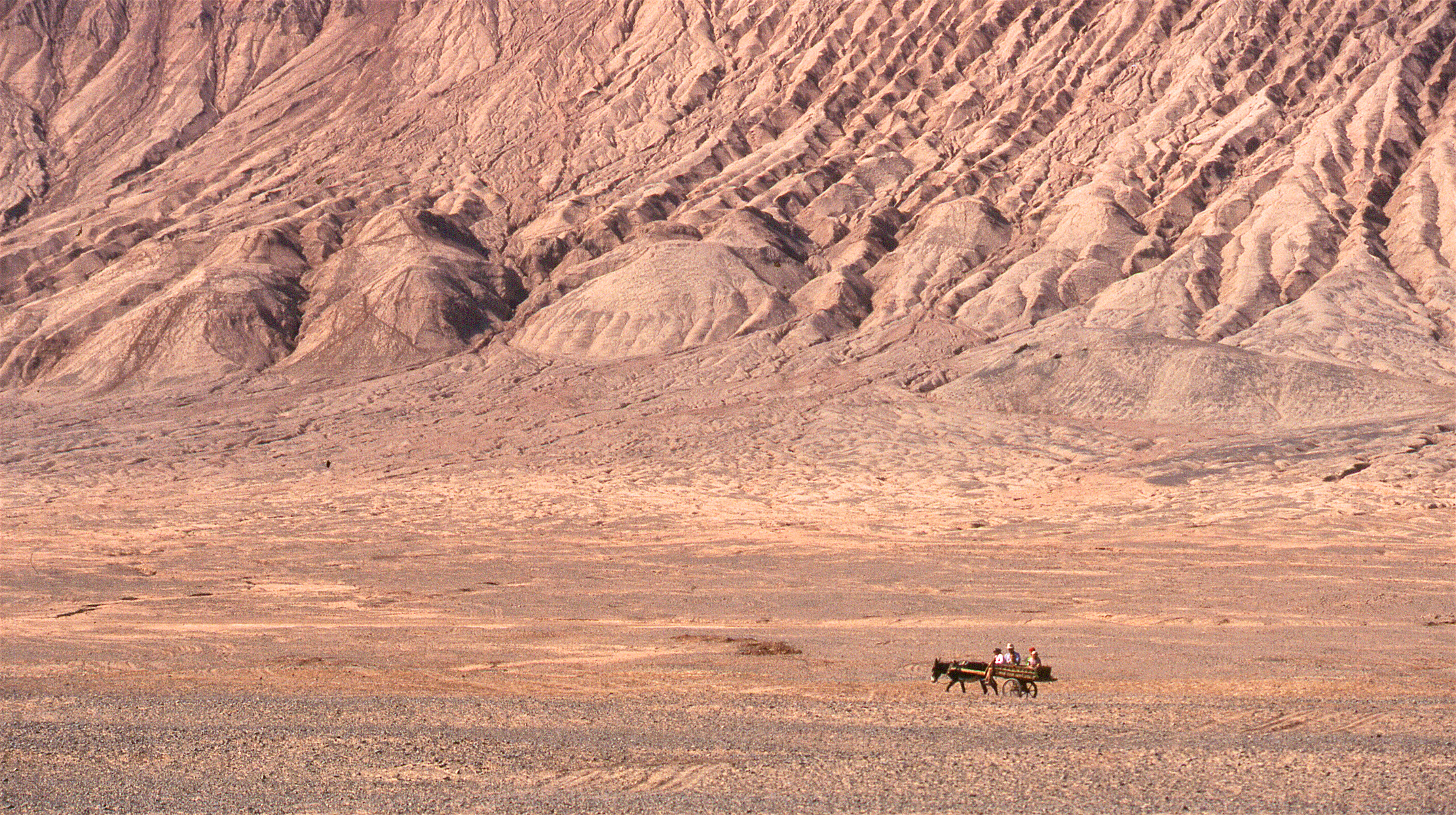 Il carretto passava gridando......