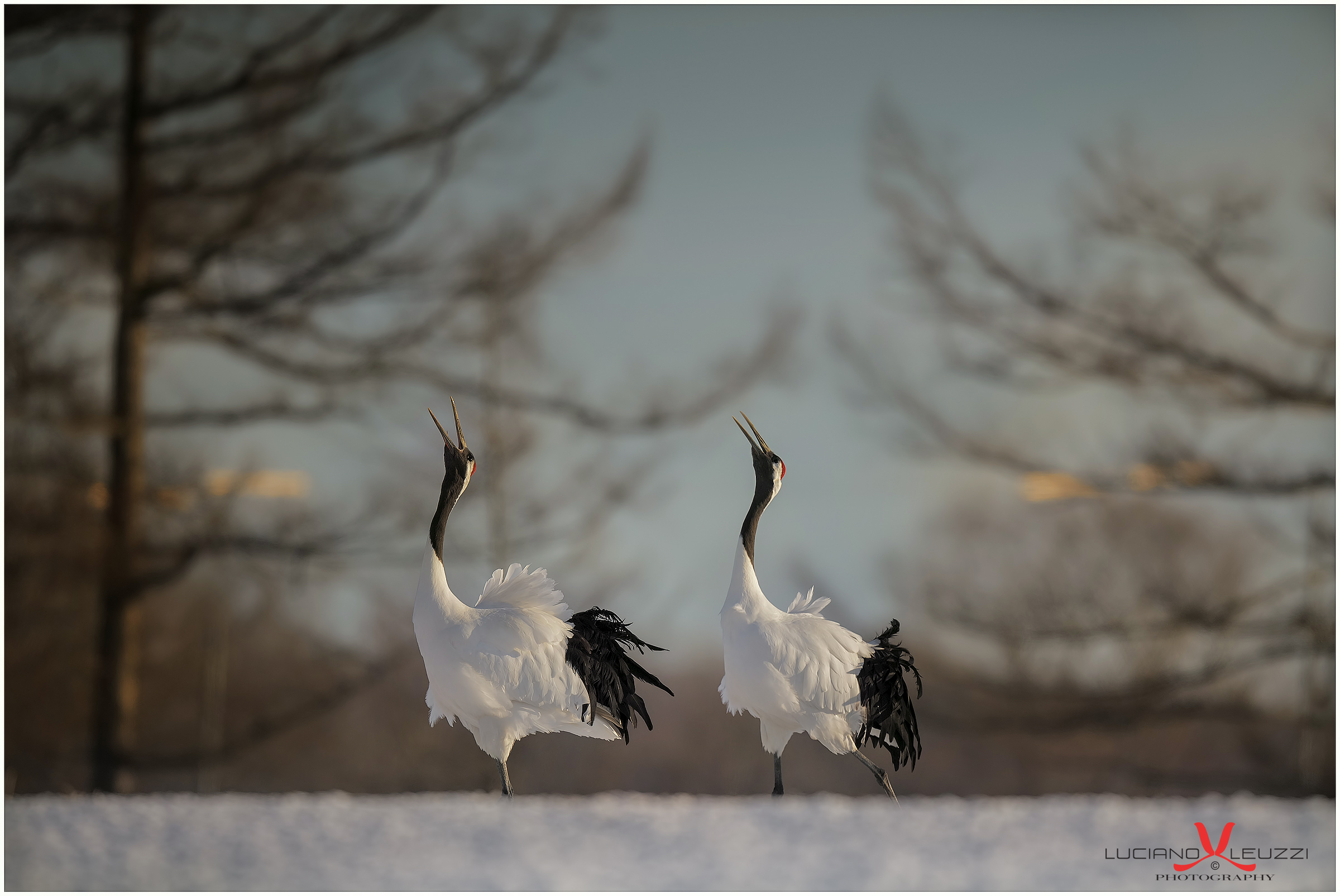 Canto alla primavera