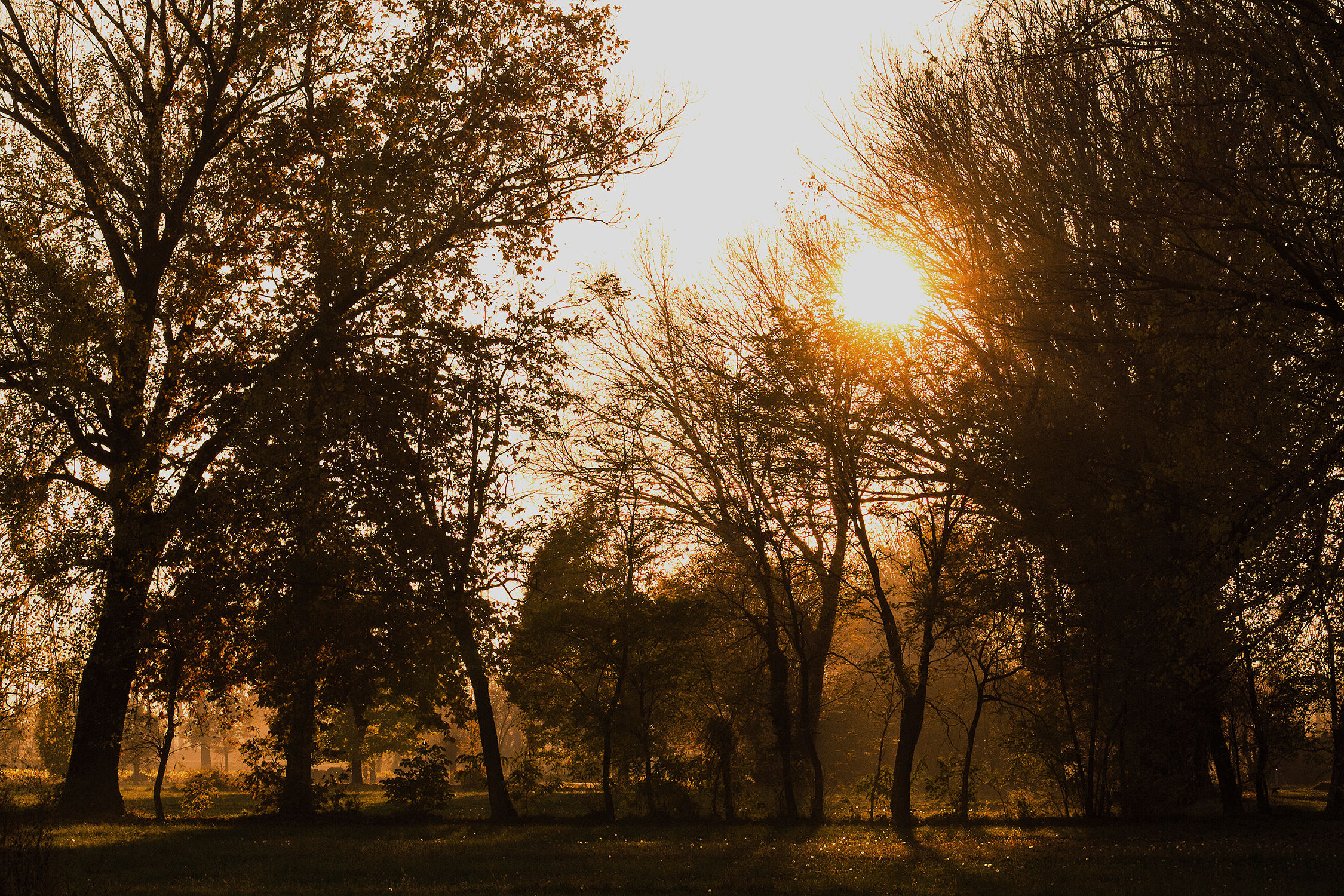 Sunset along the TEM