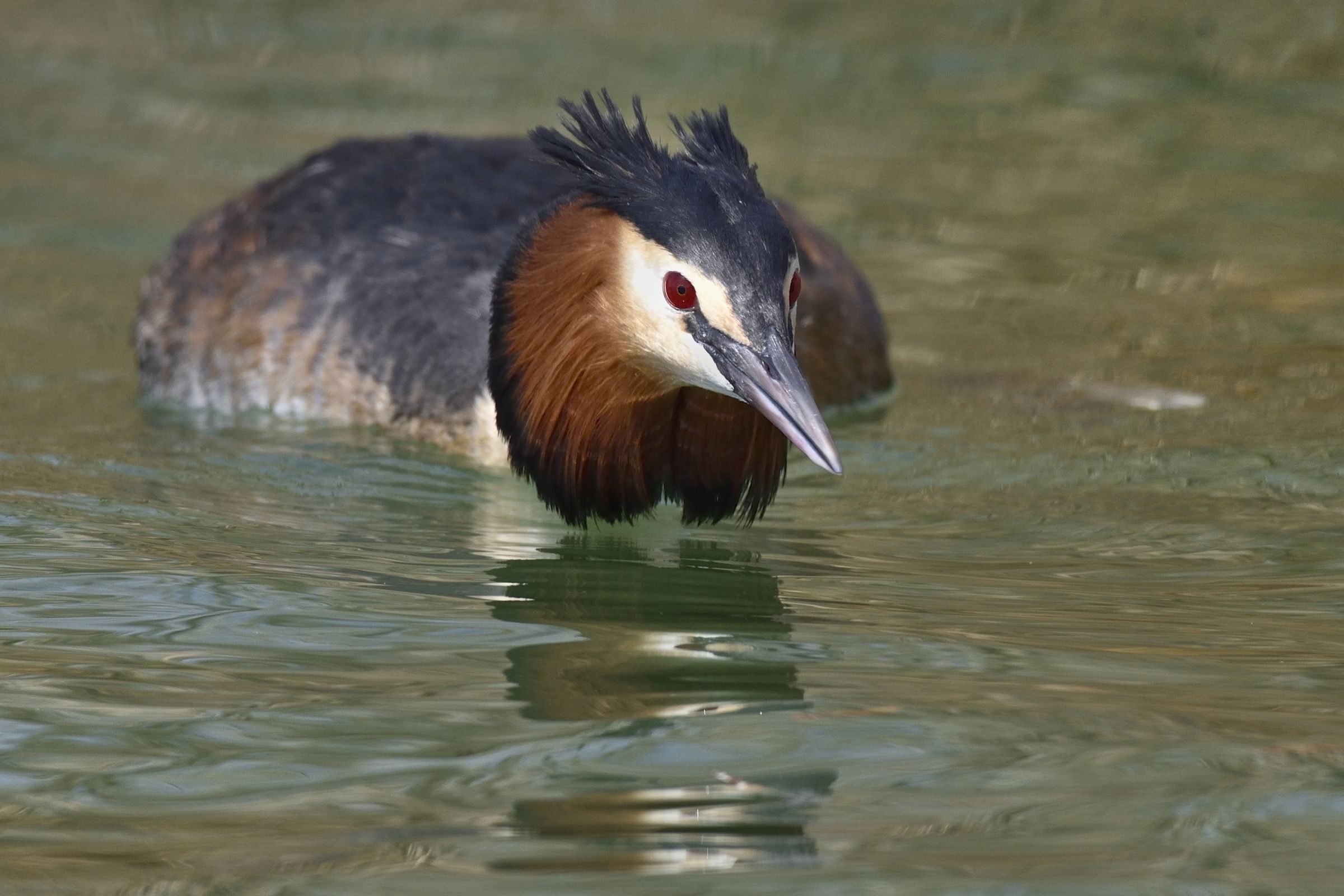 difesa del territorio...